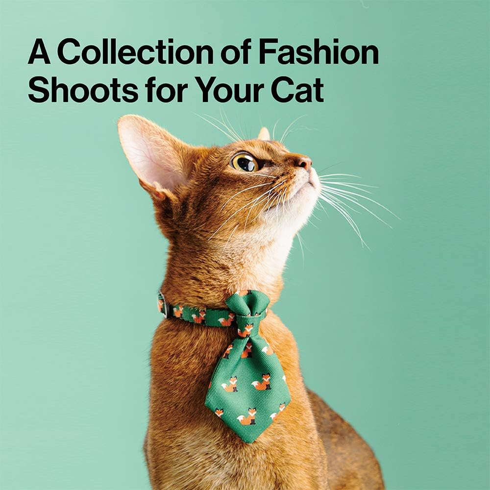 Pidan Cat Necktie Collar, Blue-British Style Tiger