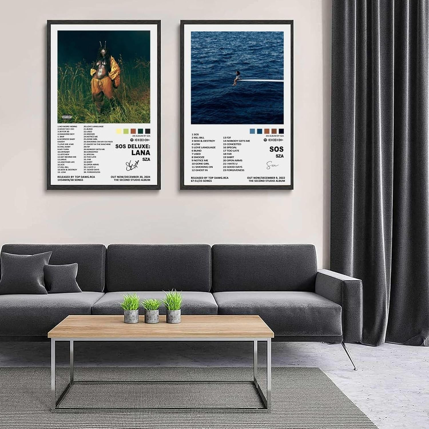 Wall Art Music Sza Album Poster Poster a Set of 2 Canvas Posters Room Aesthetic Festival Gift Family Bedroom Decor Wall Art Home12X18Inch(30X45Cm) Style image number 3