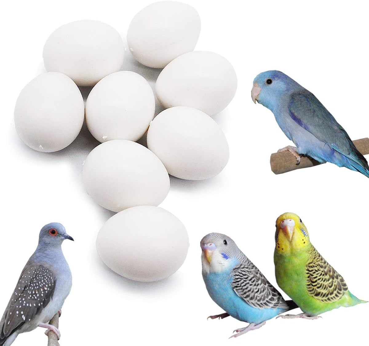 FOIBURELY 8 Pcs Solid Parrot Plastic Eggs Hatching Eggs Parrotlet，Budgie Parakeet，Diamond Dove Trick the Birds to Stop Laying Eggs, Fake Eggs（19Mm*16Mm）