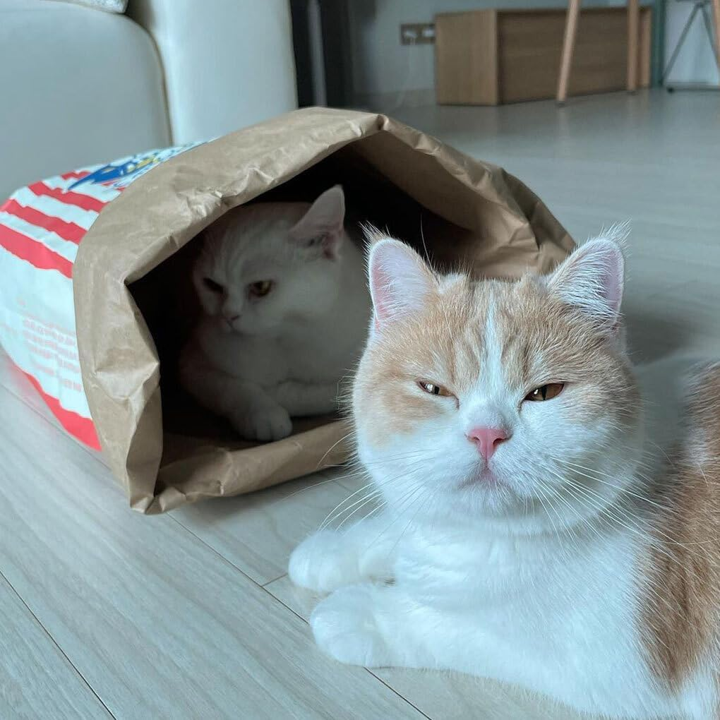 CLSSLVVBN Clean and Lovely Popcorn Paper Bag Cats Seek and Play Activities and Paper Bag Nest Specially Designed for Pets Pet Cat image number 3