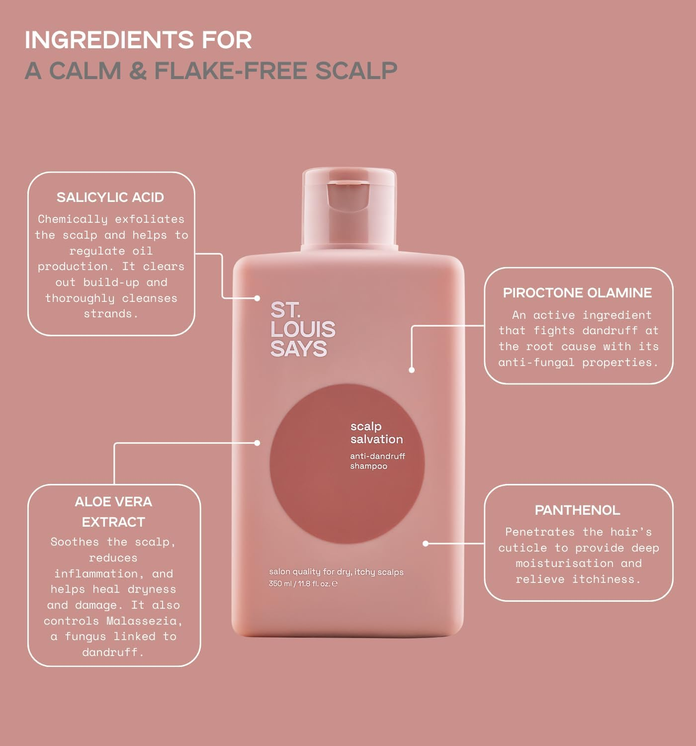 Scalp Salvation Anti-Dandruff Shampoo &ndash; Soothing Shampoo for Dandruff & Dry Scalp Relief &ndash; Fights Flakes, Itchiness & Oil Build-Up &ndash; Infused with Salicylic Acid, Piroctone Olamine, Aloe Vera & Panthenol image number 3