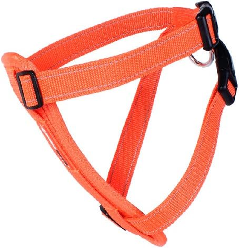 EZYDOG Harness for Large Dogs, Orange, Size L image number 1