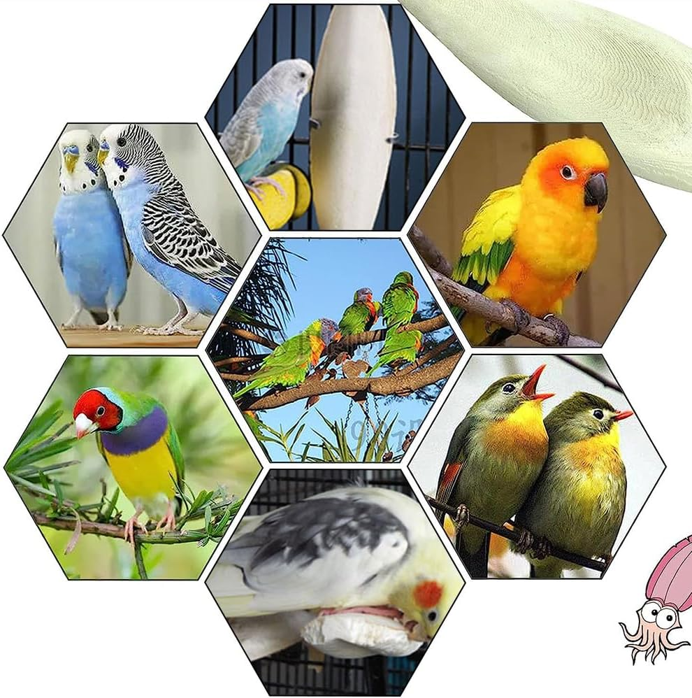 Natural Cuttlefish Bone 8 Pieces for Birds, Parrots and Turtles &ndash; Toys