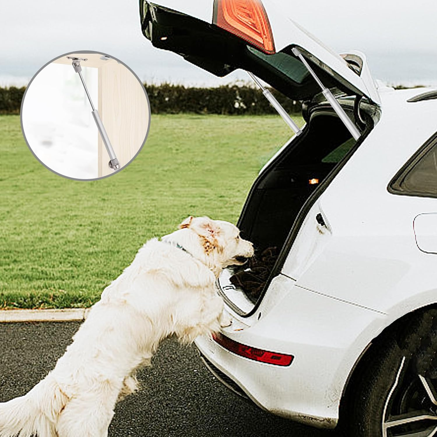 4 Pcs Gas Struts 200N, 20KG Gas Struts Heavy Duty Cabinet Door Hinges Gas Spring Strut Lift Stay Support Gas Strut for Kitchen Cupboard Wardrobe Cabinet Door, Silver image number 6