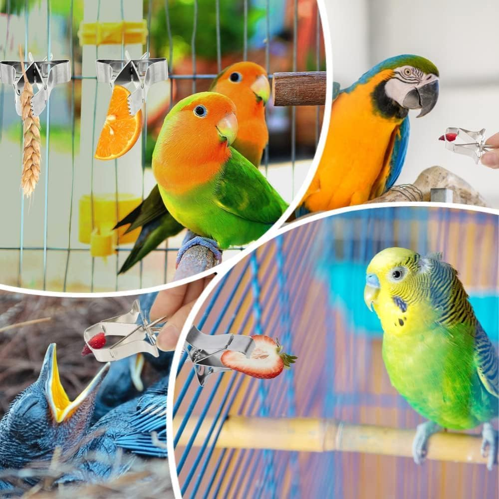Stainless Steel Parrot Food Clips, 6 Pieces Stainless Steel Parrot Fruit and Vegetable Clips,Stainless Steel Feeder Bird Fruit Vegetable Clamps image number 6