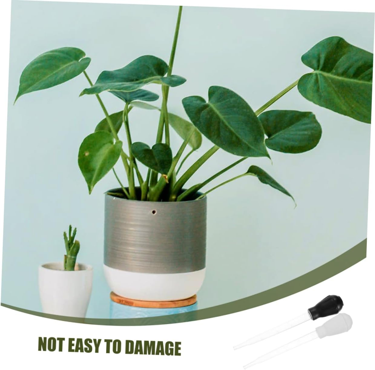 3Pcs Plant Tray Water Absorber and Saucer Water Removal Tool for Gardening with 30Ml Capacity Each Suitable for Indoor and Outdoor Planters