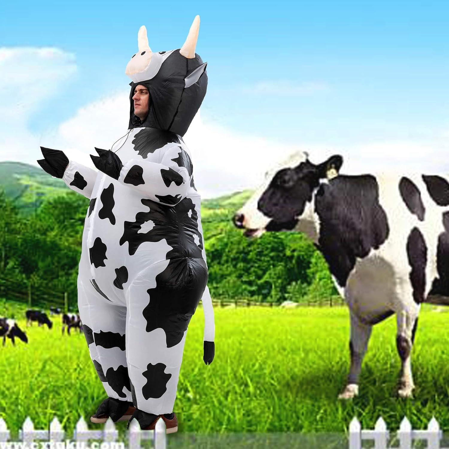 LUVSHINE Inflatable Costume Adult Fancy Dress for Halloween, Christmas, Party, Birthday, Gifts (Cow Costume)