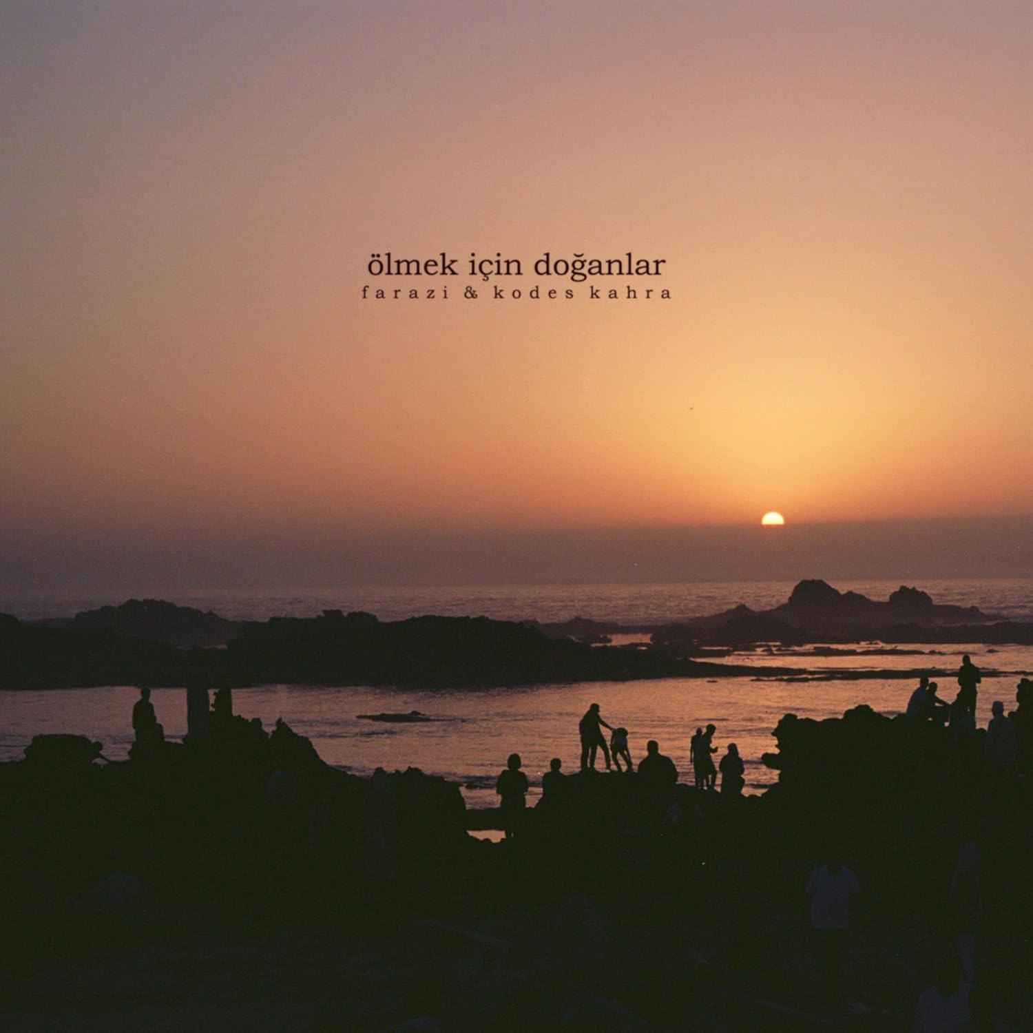 &Ouml;lmek İ&ccedil;in Doğanlar (LP)