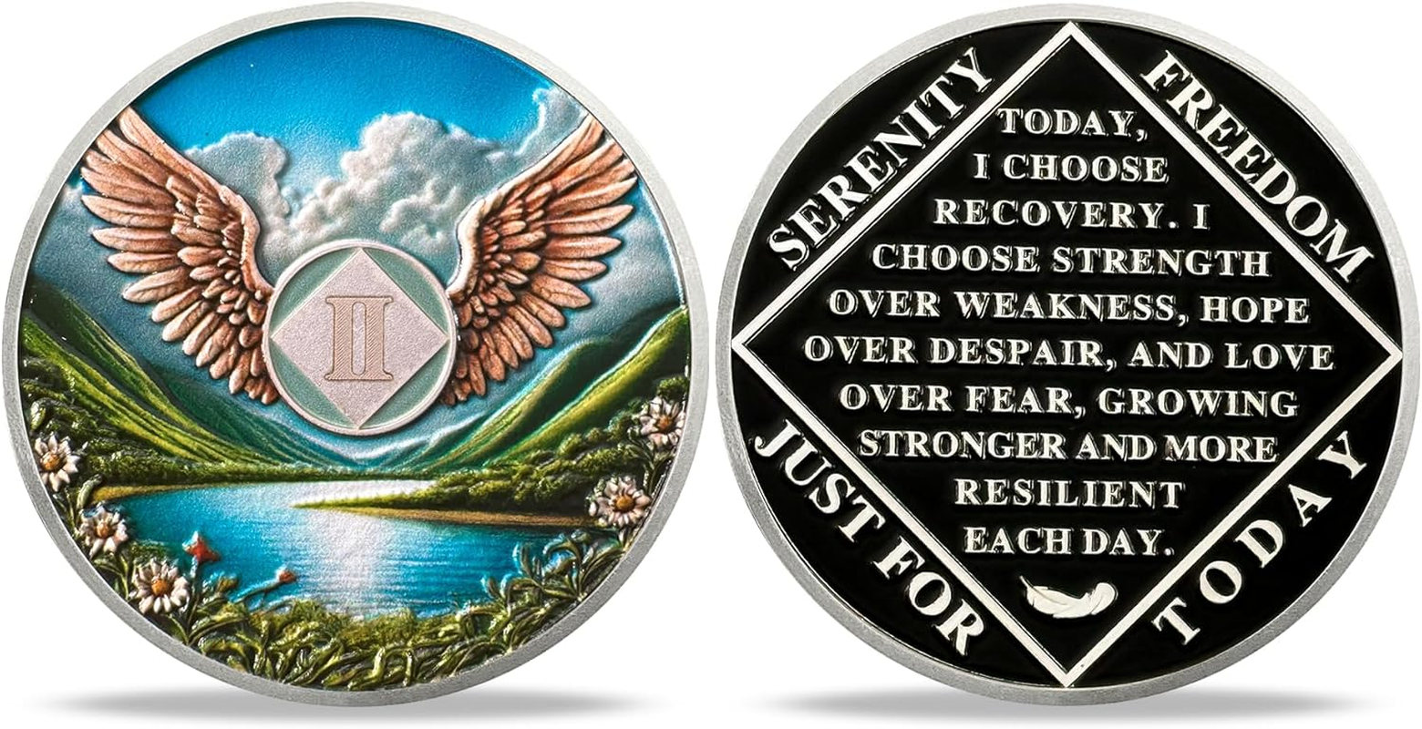 2 Year NA Sobriety Coin - NA Medallions with Wings and Scenic Sobriety Chips NA Coins - Ideal Narcotics Anonymous Gifts for Men ＆ Women Celebrating Recovery and Living Clean image number 5