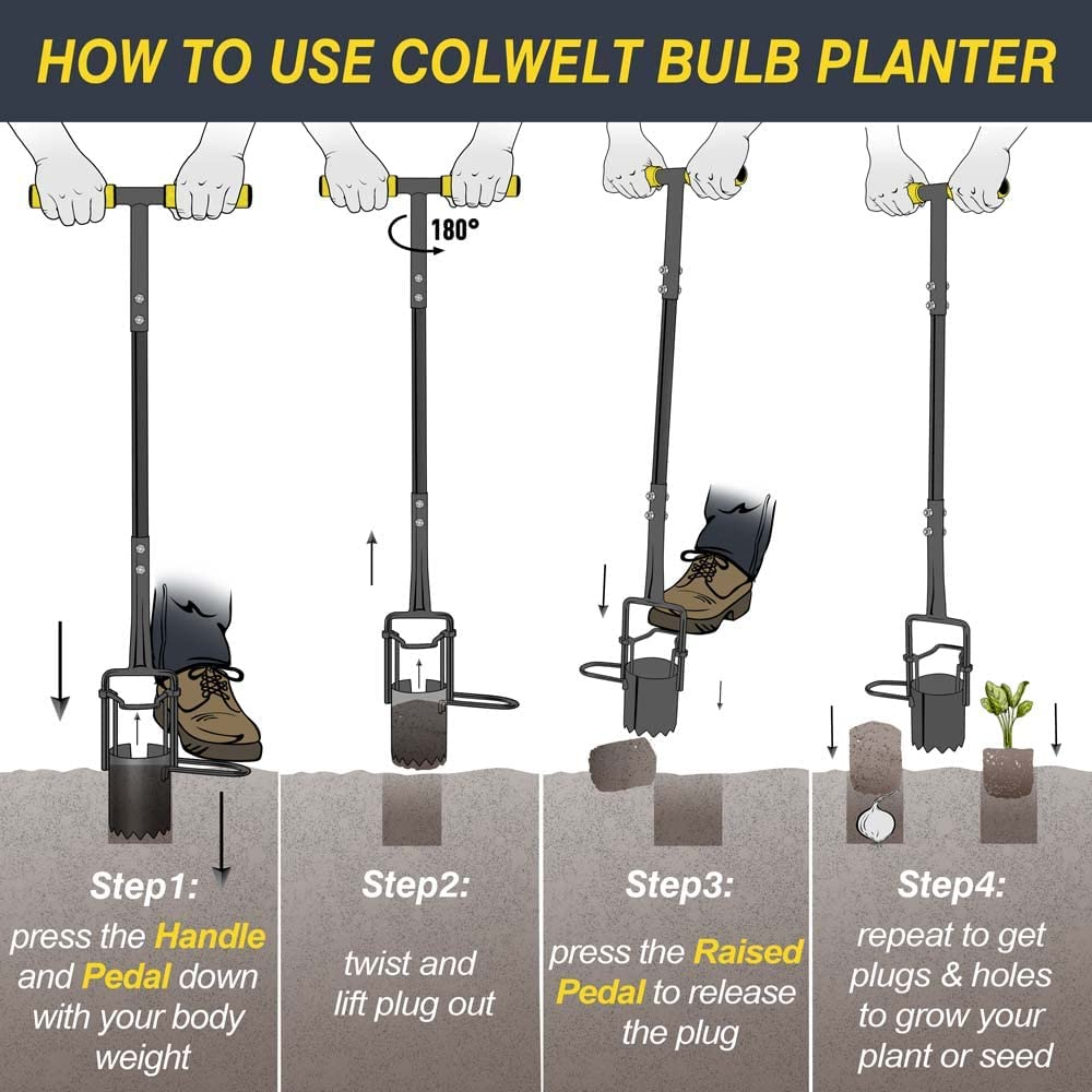 Colwelt Bulb Planter Tool Long Handle, Serrated Base Gardening Bulb Transplanter with Soft Grip, Heavy Duty Long Handled Bulb Planter Sod Plugger for Digging Holes to Plant Tulips, Iris, Daffodils image number 2