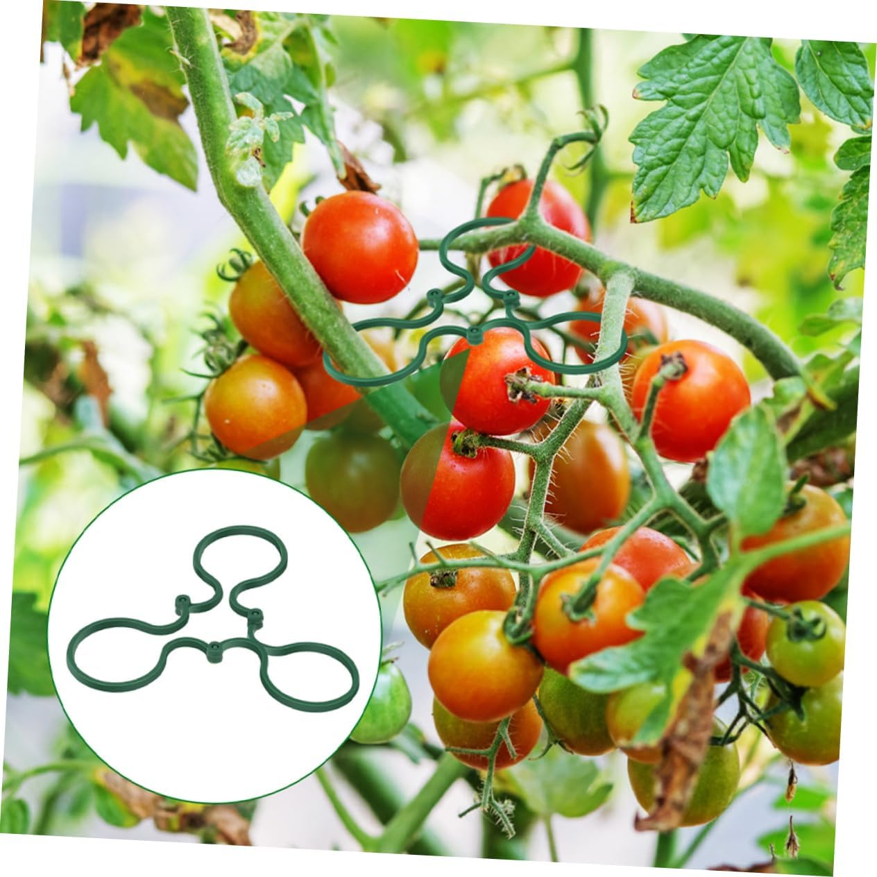 CIYODO 150Pcs Gardening Plant Clip Plastic Support for Climbing Plants Reusable Vine Stem Holder for Outdoor Garden Trellis Clips image number 4