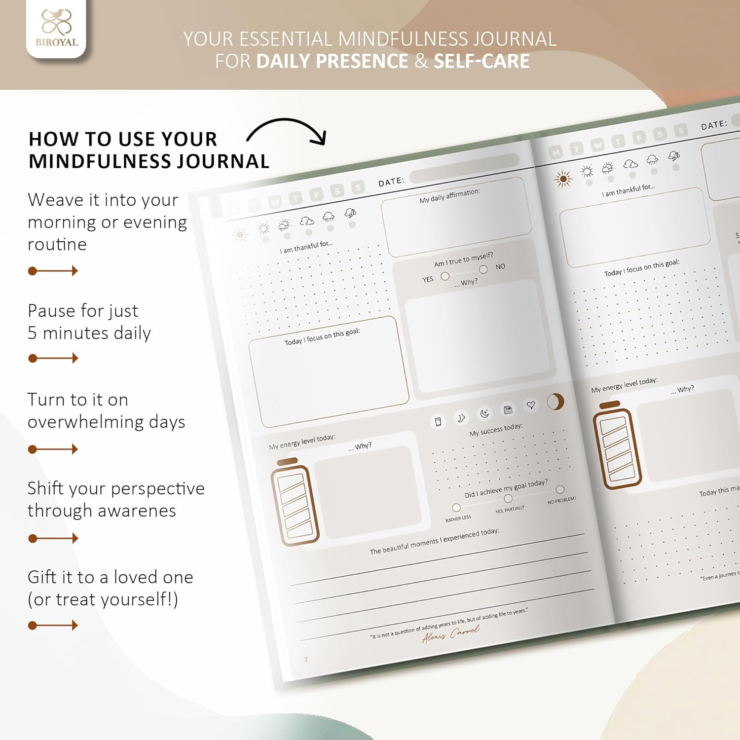 Gratitude Journal for Women - 20 Weeks Undated Five Minutes Daily Journal to Inspire a Happier for More Self Care - 5 Minute Grateful Diary for More Motivation, Mental Health & Reflection - Deep Calm Green image number 4