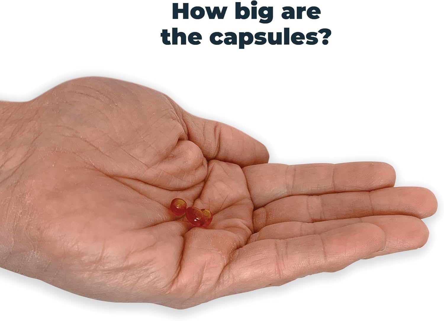 Vetz Petz Antinol plus ? Natural Joint, Skin & Coat Supplement for Dogs ? Marine Lipid Oils for Mobility & Inflammation ? No Fillers or Preservatives (60 Capsules) image number 1