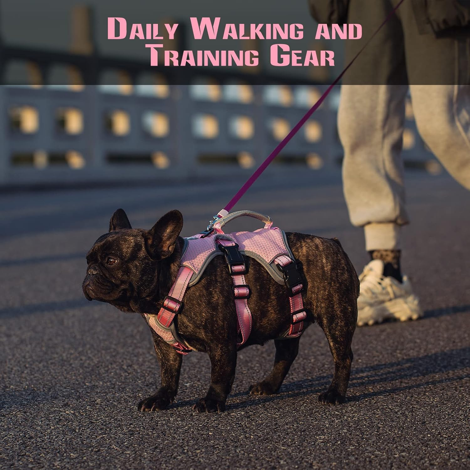 Escape Proof Dog Harness, Multi-Support Harness, Fully Reflective Harness with Padded Handle, Breathable,Durable, Adjustable Vest for Small Dogs Walking, Training, and Running Gear Pink (Small) image number 1