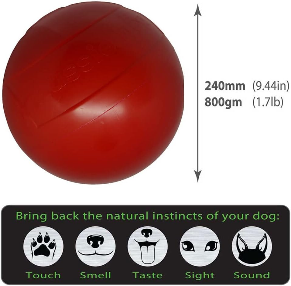 Aussie Dog Products 24Cm Enduro Interactive Hard Ball Toy Pet Outdor Red L image number 5