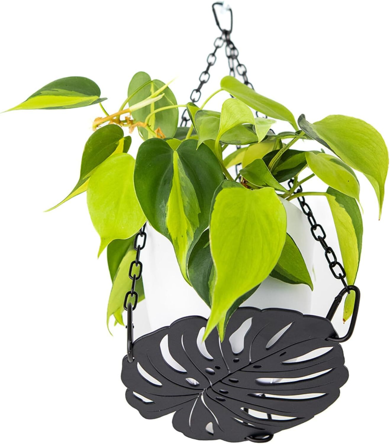 Plant Hanger - Chic Black Metal Hanging Planter for Indoor Plants - Monstera D&eacute;cor - Lasercut Powdercoated Steel - Unique Botanical Design - Clear Your Benchtop - Elevate Your Jungle image number 2