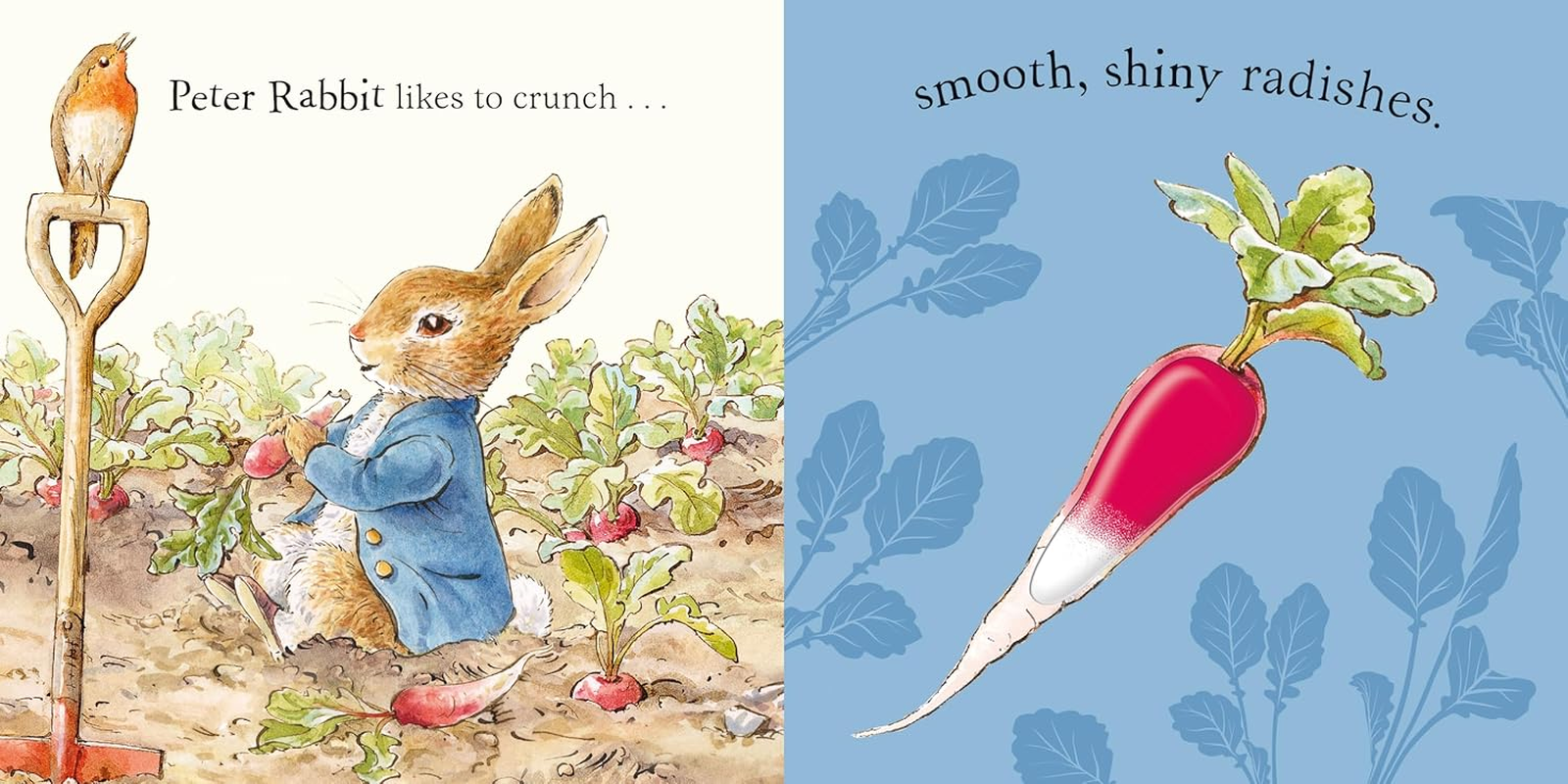 Peter Rabbit: Forest Feast: a Touch-And-Feel Book image number 1