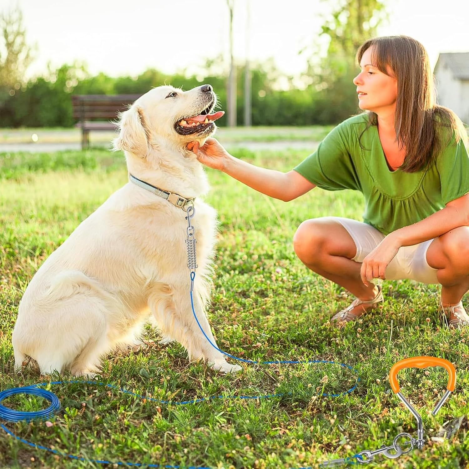 Dog Tie Out Cable and Stake with Rotating Hook and Shock Spring, 20Ft Yard Leash for Small and Medium Dogs up to 60 Lbs, Lead for Outside, Yard and Camping (Blue, 20FT) - Red image number 2
