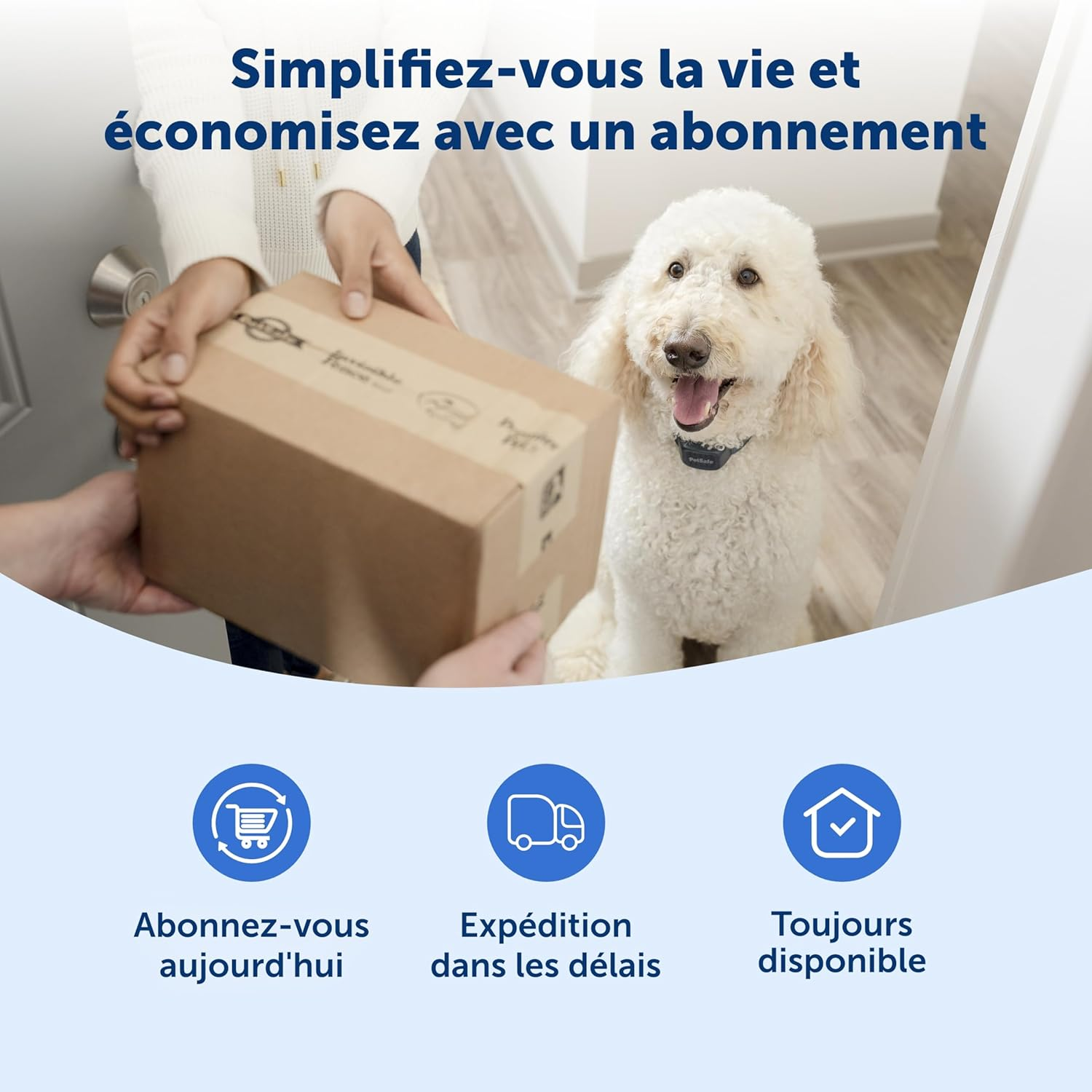 Petsafe Foam Filters for Cat and Dog Fountains, 2-Pack, Replacement Filters for Viva Pet Water Fountains for Cats and Dogs - PAC10-17961 image number 5