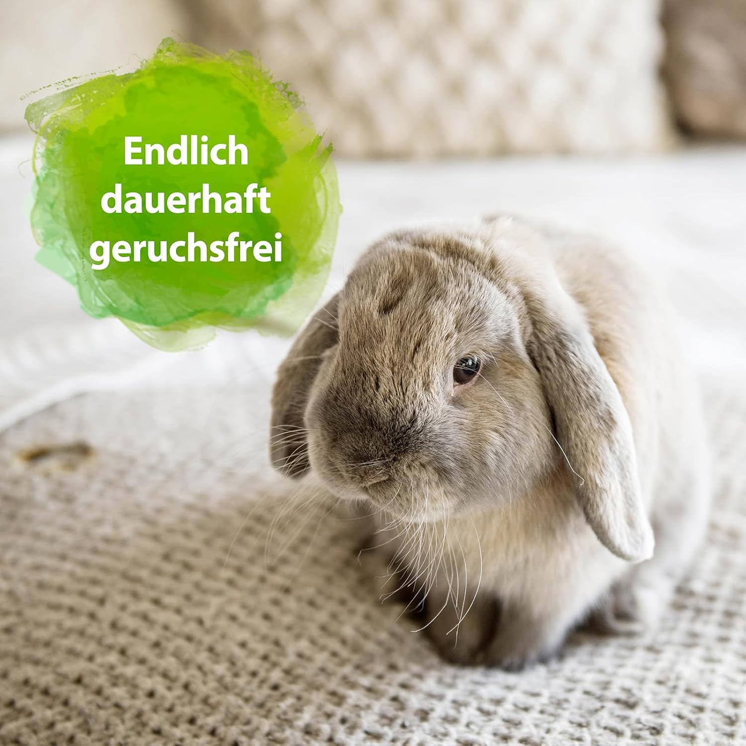 Bactador Rodent Cage Odour Remover and Cleaner Spray 500Ml - against Faeces, Urine and Animal Odours - Microbiological Enzyme Cleaner - Pore-Deep Cleaning in the Rodent Environment image number 3