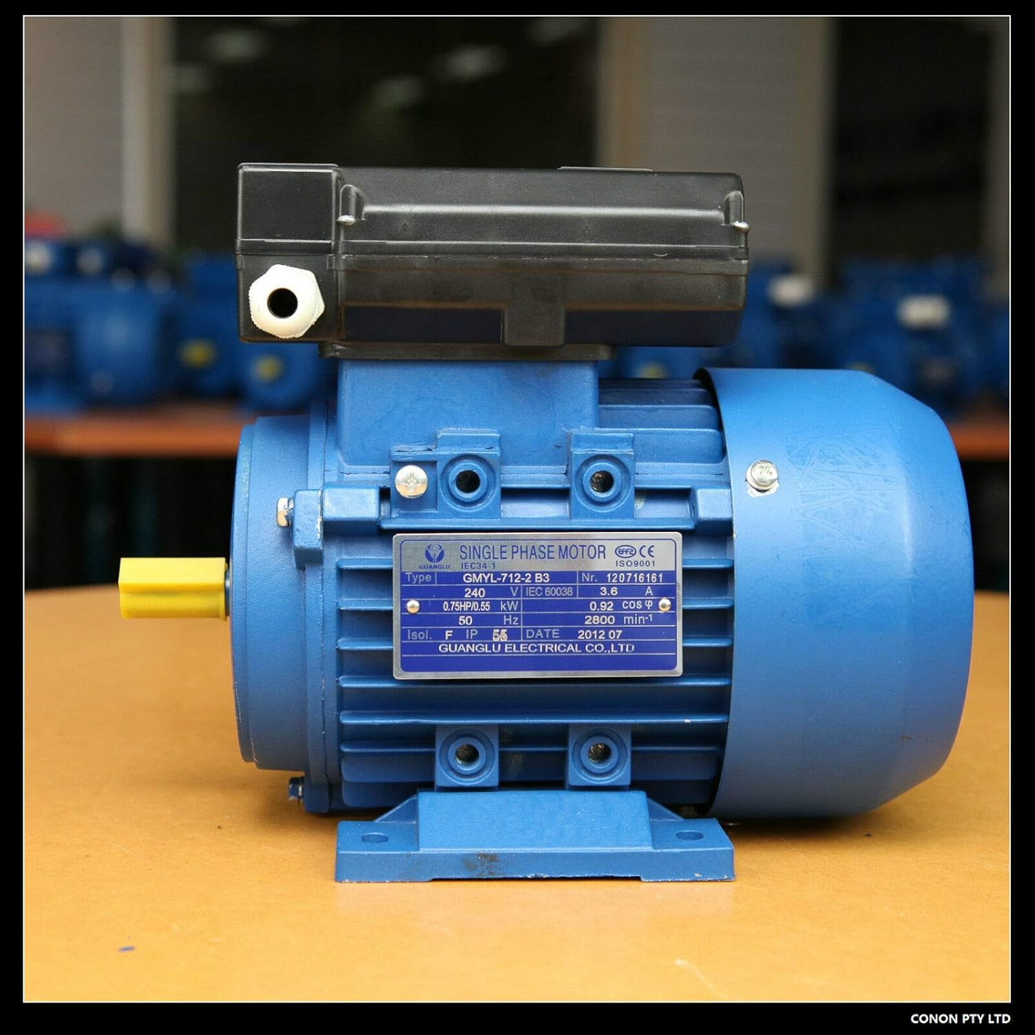 0.25Kw 0.33HP 1400Rpm Electrical Motor 1Phase 240V Reverse Dual Caps 14Mm Shaft