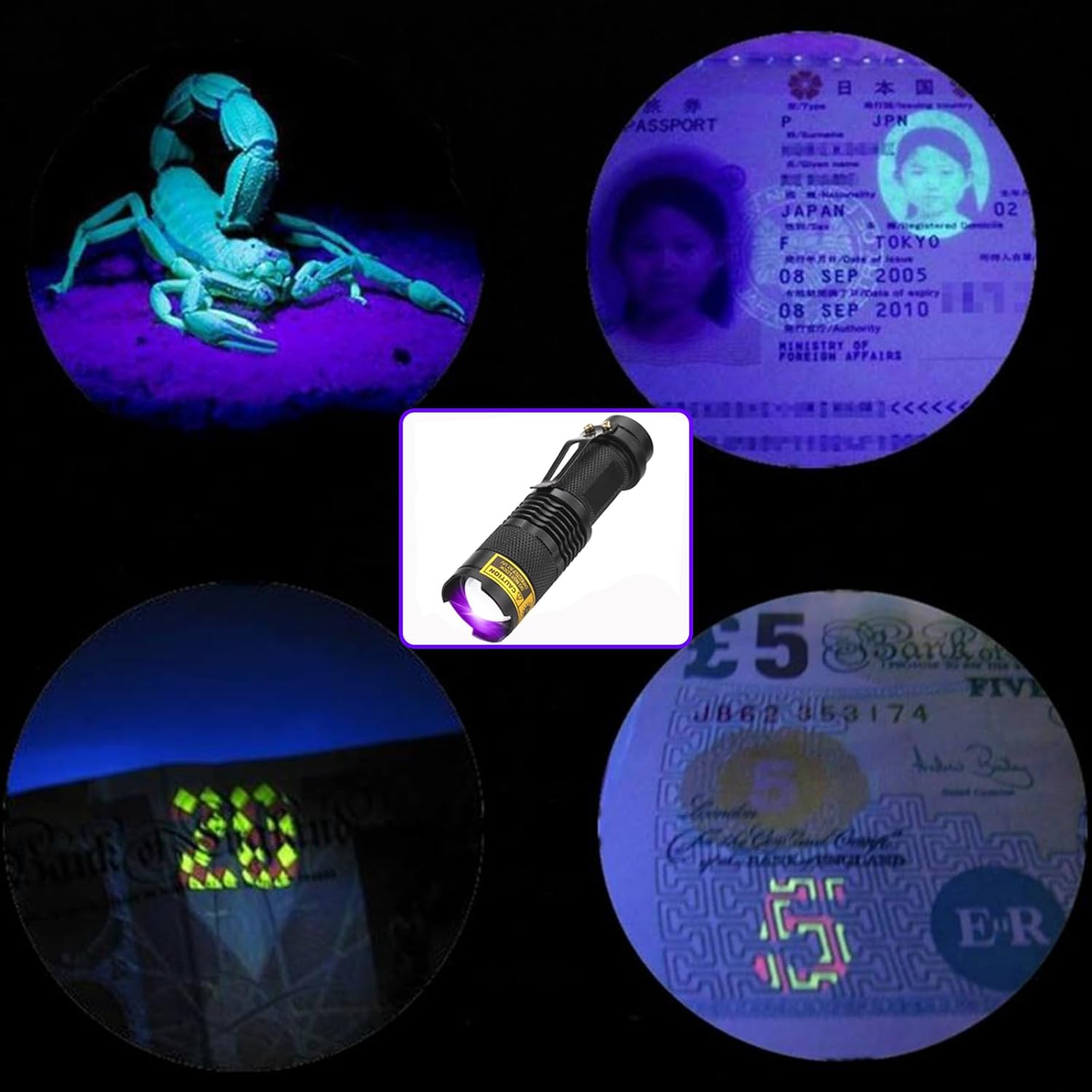 UV Torch LED Flashlight, 395Nm Ultraviolet Blacklight Portable Mini Flashlights Black Light Detector Zoomable with Clip, AA Batteries Not Included image number 3