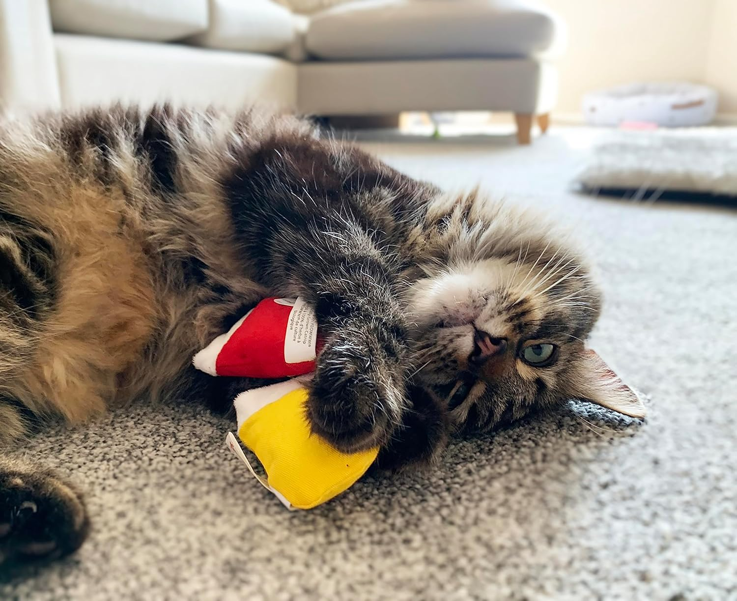 Yeowww! Jug of 30 Kitten Mittens, Catnip Toys for Cats 30PC, Organic Catnip, Multi Colour Cat Toys