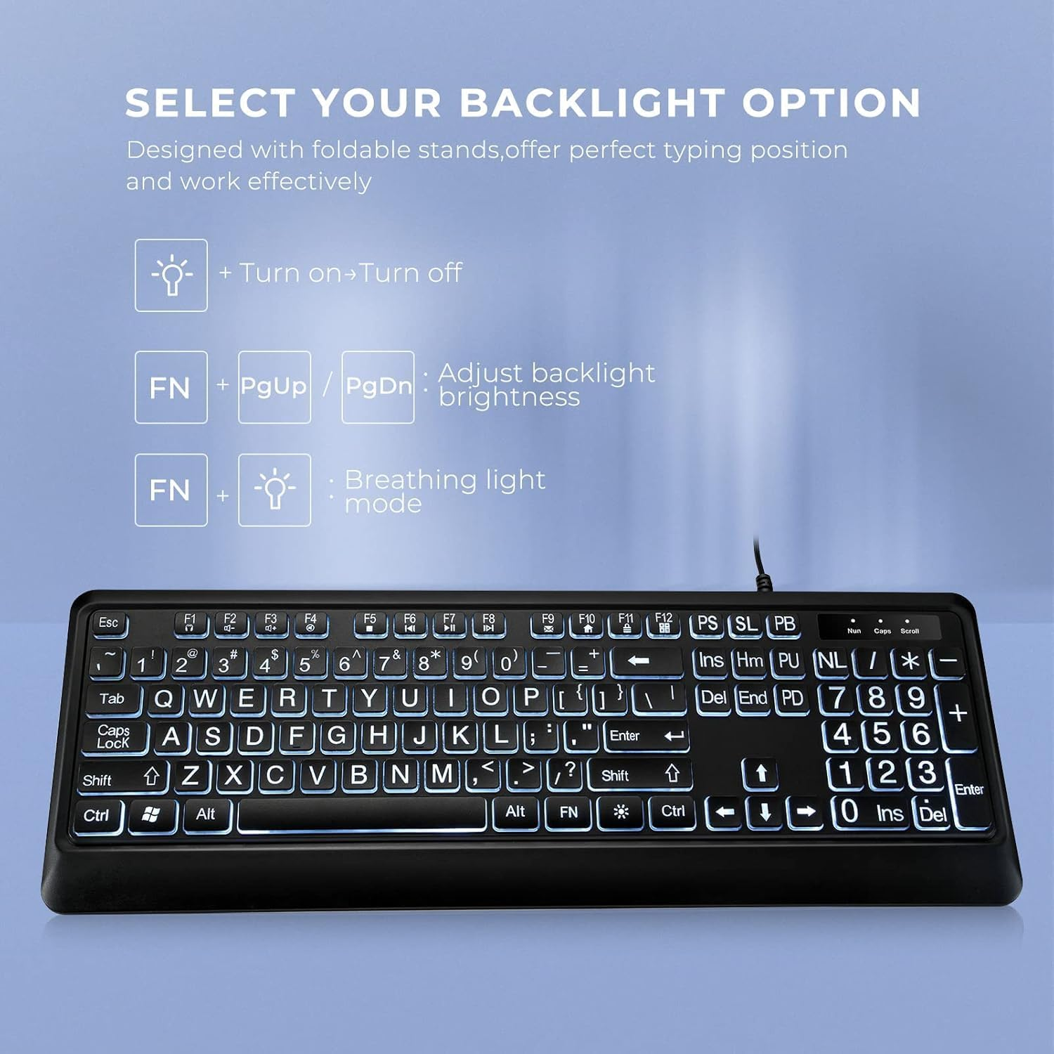 Large Print Backlit Keyboard, Quiet USB Wired Computer Keyboard, Full Size Keyboard with White Illuminated LED Compatible for Windows Desktop, Laptop, PC, Gaming, Black (Large) image number 2