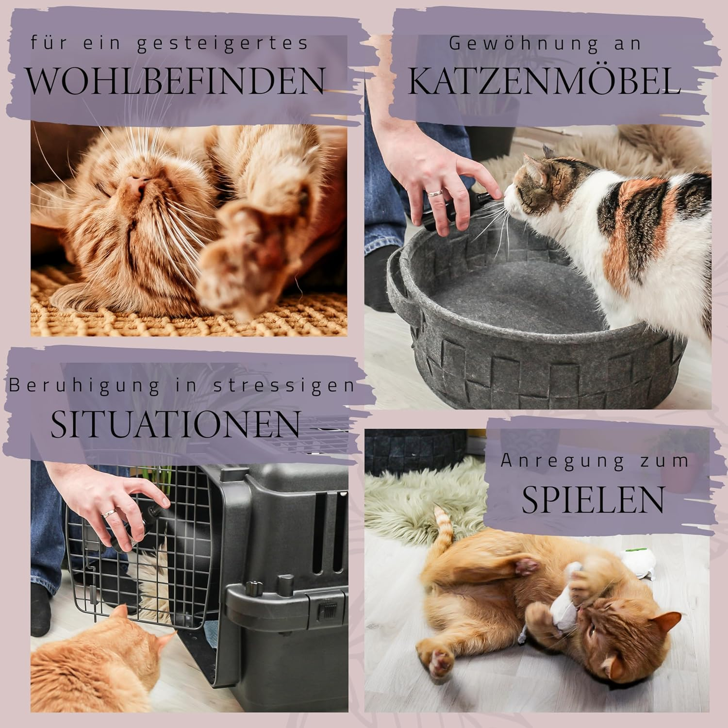 Ne&No&reg; Valerian Spray Gift Set of 2 for Spraying Toys, Scratching Posts, Cat Litter Tray, 50 Ml Contents per Bottle, Catnip Spray, Valerian Spray for Cats (BALDRIAN Spray) image number 6