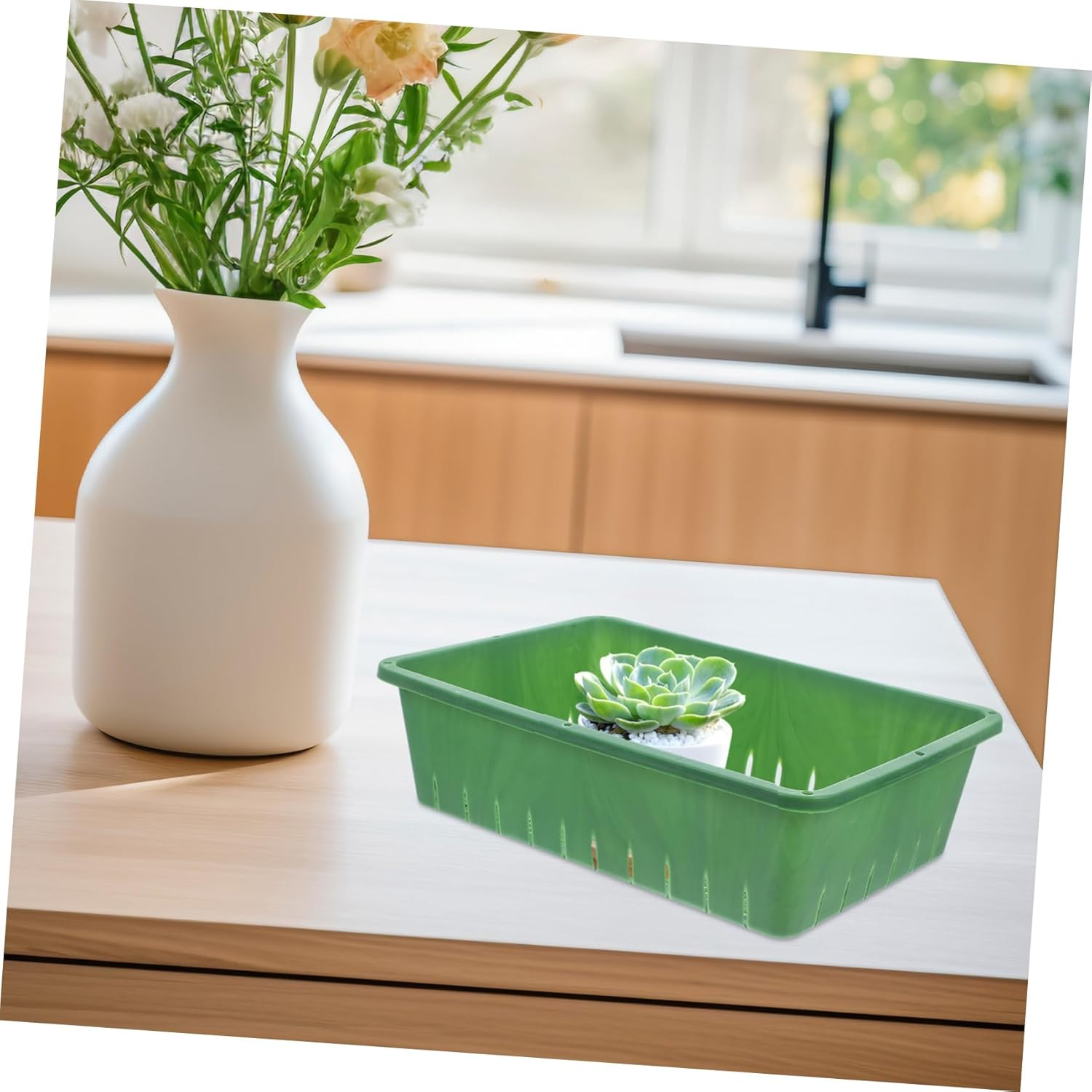 KONTONTY 2 Pcs Sprouting Trays for Seedling and Indoor Gardening Breathable Plastic Seedling Starter Trays Small Size 26X18X7Cm Green Plant for Healthy Root Development image number 5