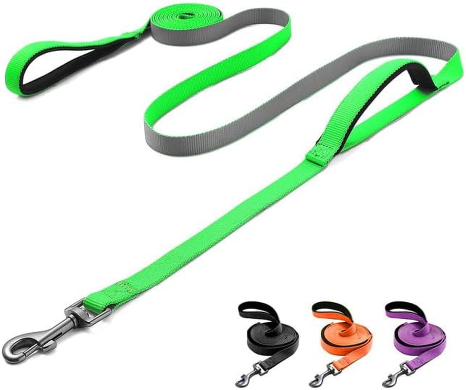 Demigreat Recall Lead for Dogs, 1.5 M / 3 M / 5 M Robust Long Dog Lead Reflective Training Lead with Padded Handle and Hand Strap, Training Lead for Small to Large Dogs