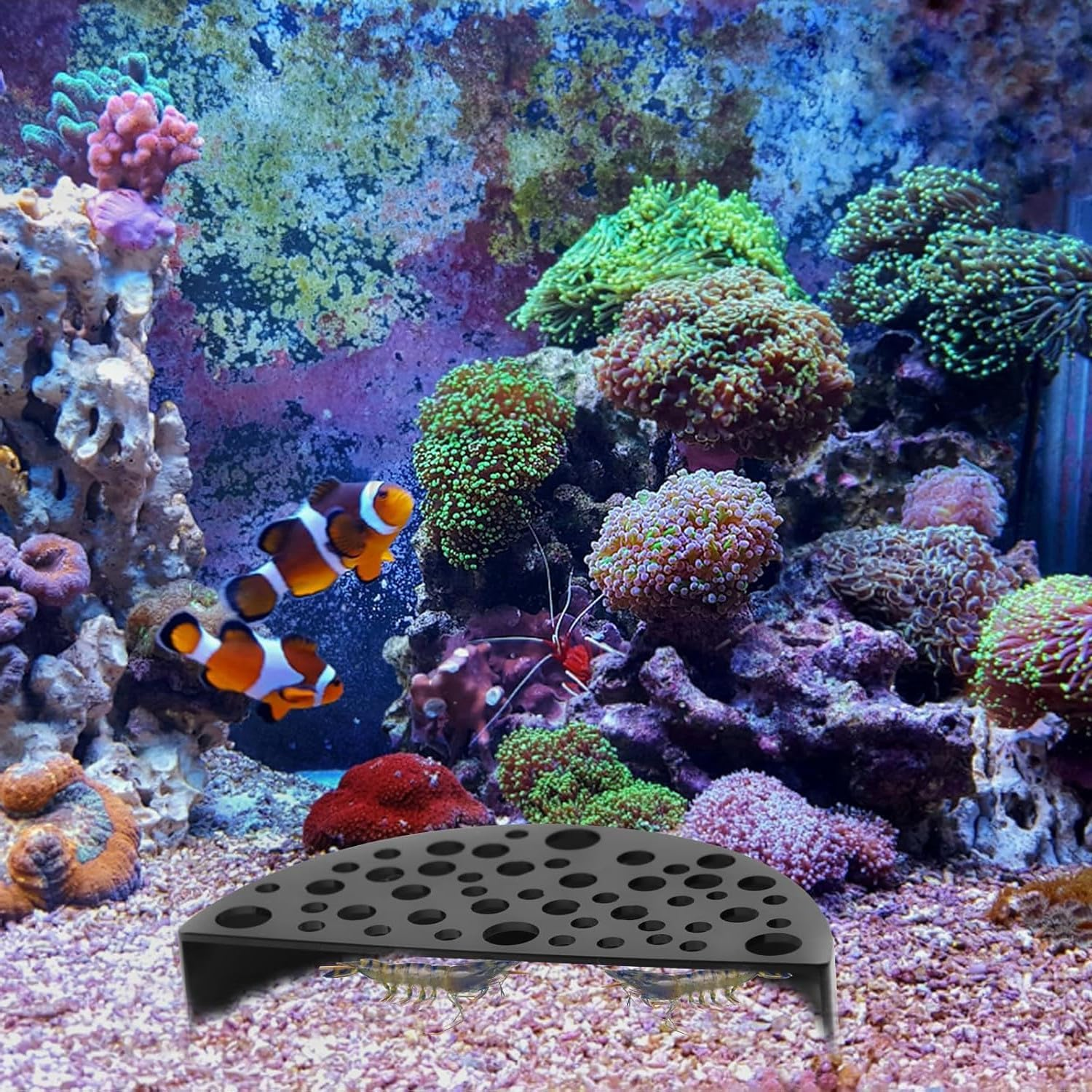 2Pcs Black Shrimp Cave Ornaments, Good Size Half Moon Shrimp House Decor, Fish Hiding Tools Supplies, Accessories Decor Supplies Can Be Used in Aquariums image number 5