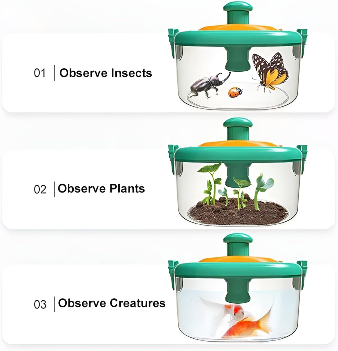 Why2Wise Bug Catcher Kit for Kids - Outdoor Explorer Kit with Insect Box, 2-In-1 Whistle and Compass, Magnifying Glass, Tweezers, Clamp, Insect Cards - Educational Toy 3+ Years Old Boys Girls image number 2