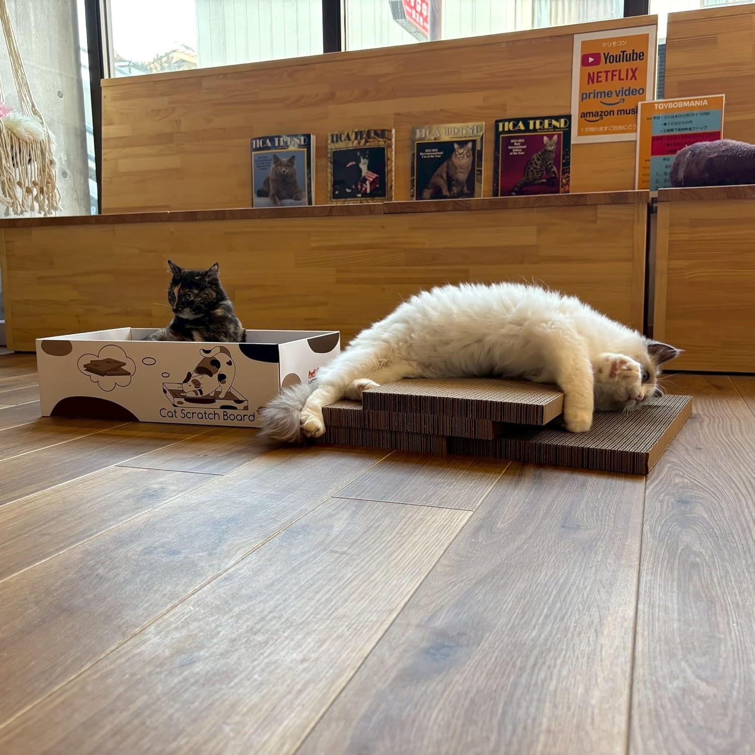 MSBC Cat Claw Sharpener, Box-Shaped, Paper Dust Reducer, 5 Refills, Total of 10 Sides, Economical, Size 16.9 X 9.8 X 5.0 Inches (43 X 25 X 12.7 Cm) image number 2