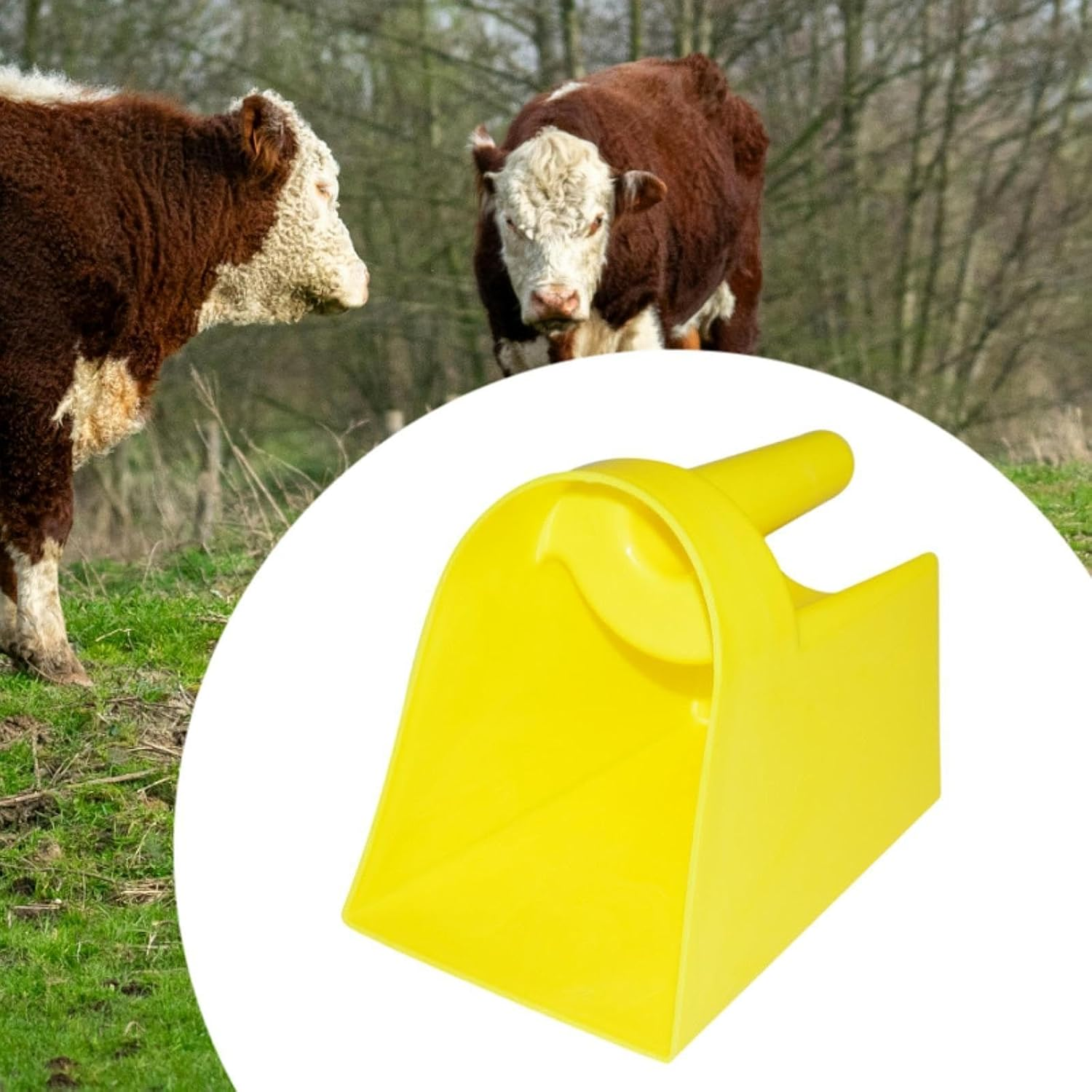 Harayaa Heavy Duty Grain Scooper, Enclosed Feed Scoop Animal Feed Scooper for Livestock, Horse, Homesteaders