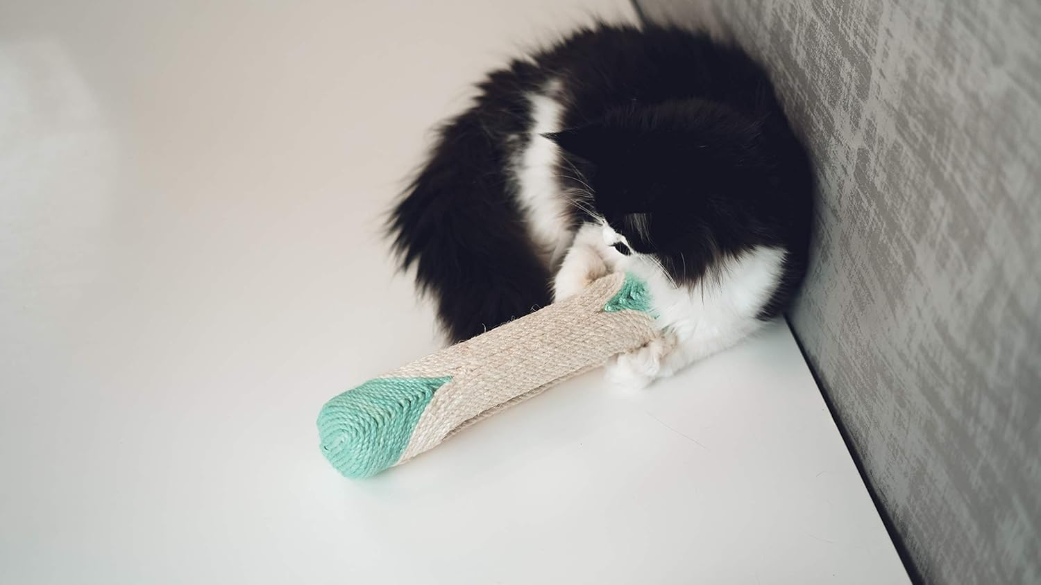 Aime Cat Tree XXL Tube Mint + 3 Balls 29 Cm Pack of 1 image number 3