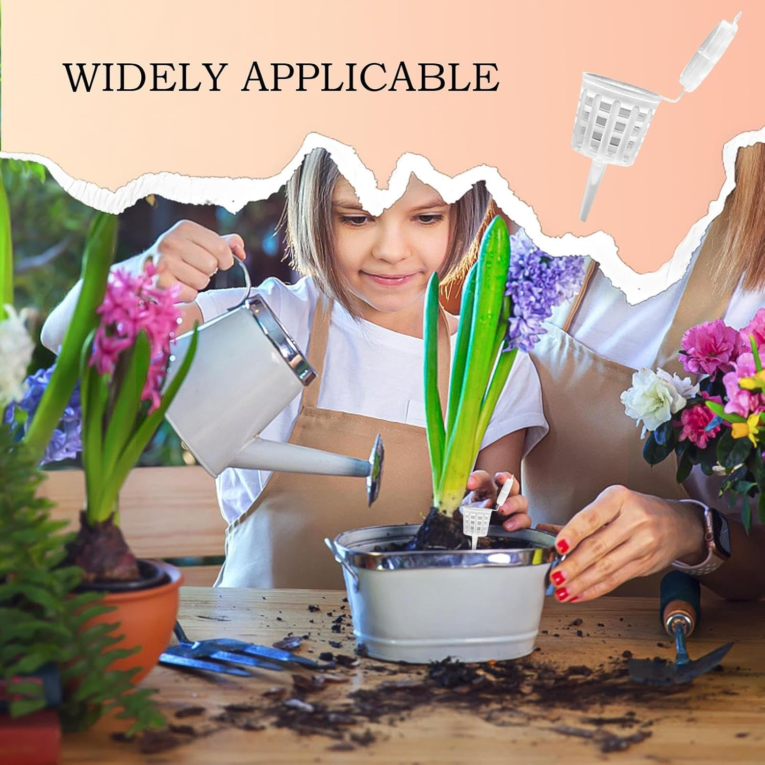 Bonsai Fertilizer Box | Fertilizer Baskets with Lid - Plant Planting & Care Supplies for Orchid Flower Plant Succulent Garden