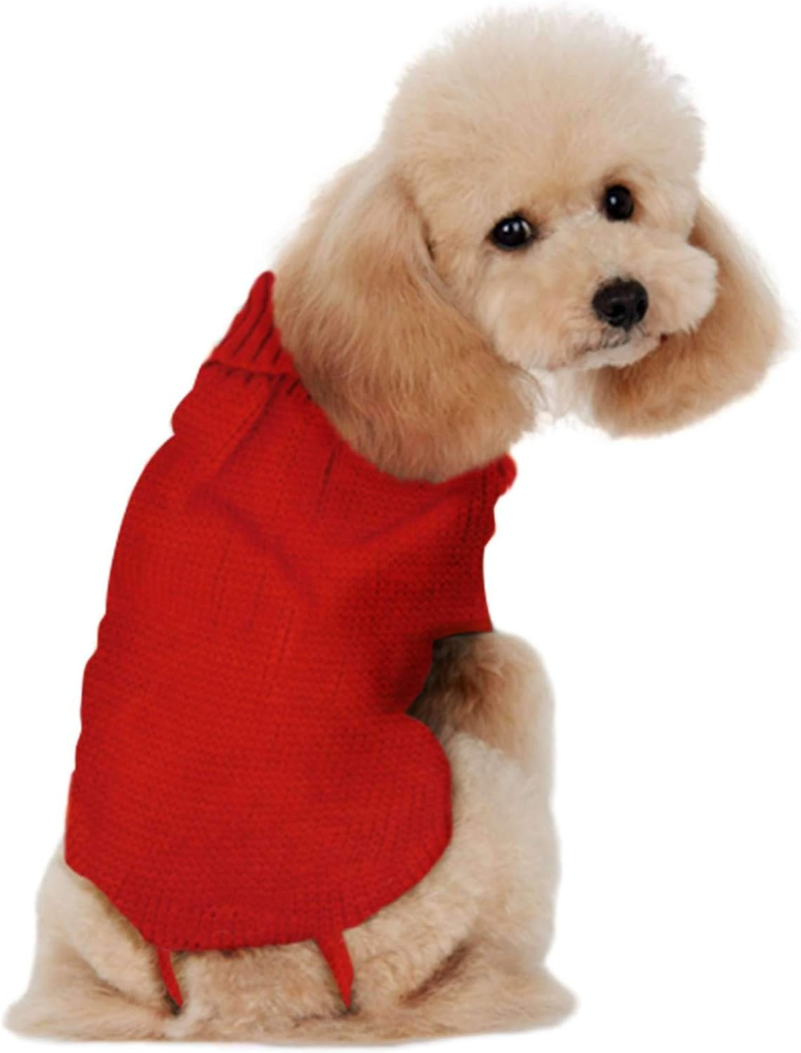 Alpha Dog Jersey Red Dot 20 Cm 90 G image number 1