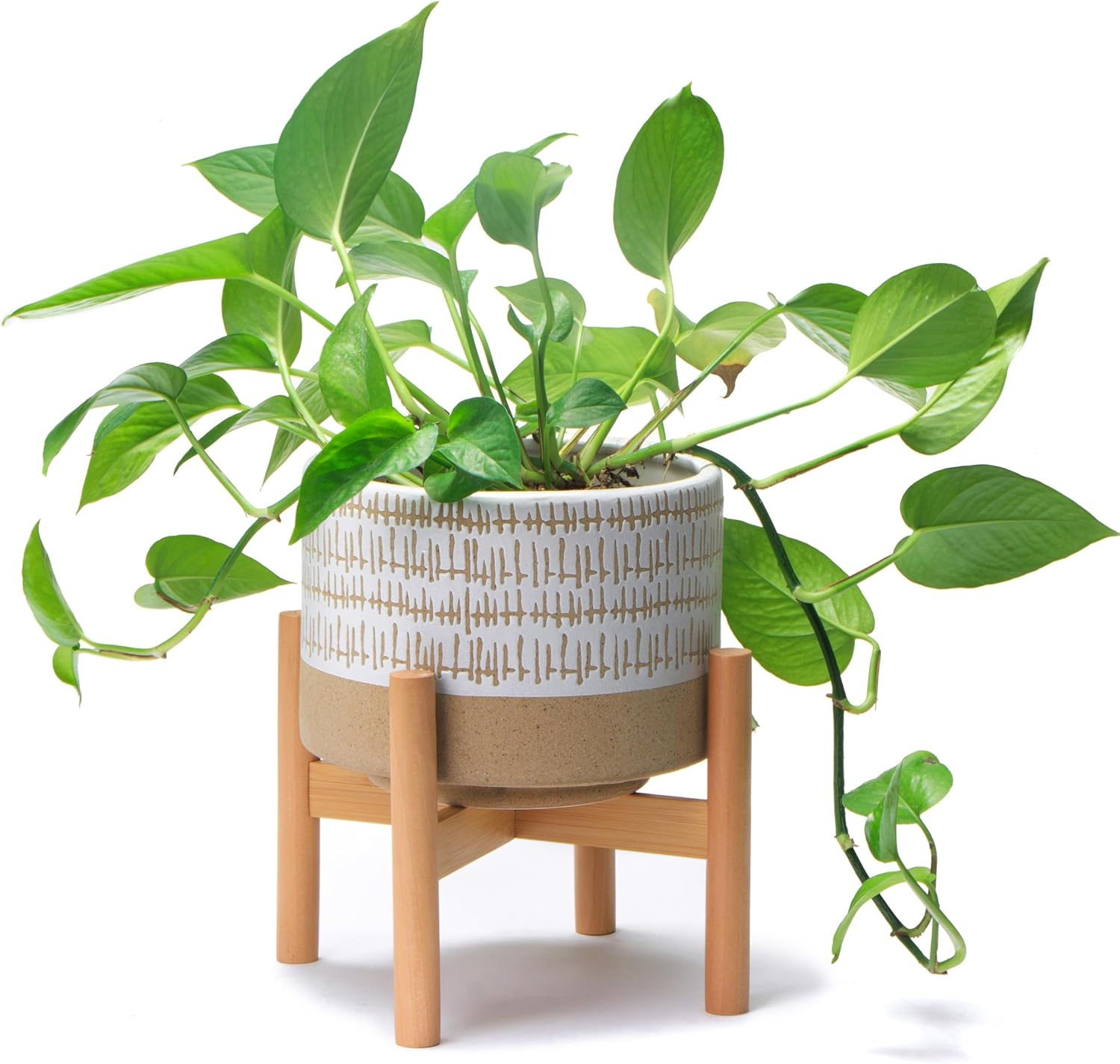 Kurrajong Farmhouse Ceramic Planter Pot with Wood Stand for Indoors (White)