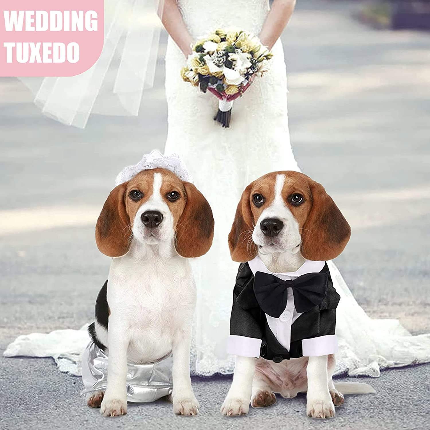 Dog Shirt Puppy Clothes, Pet Wedding Suit Formal Tuxedo with Black Bow Tie, Dog Outfit for Small Medium Dogs Cats, Dog Weding Attire Dress up Cosplay Prince Costume Gentleman Apparel (Large, Black)