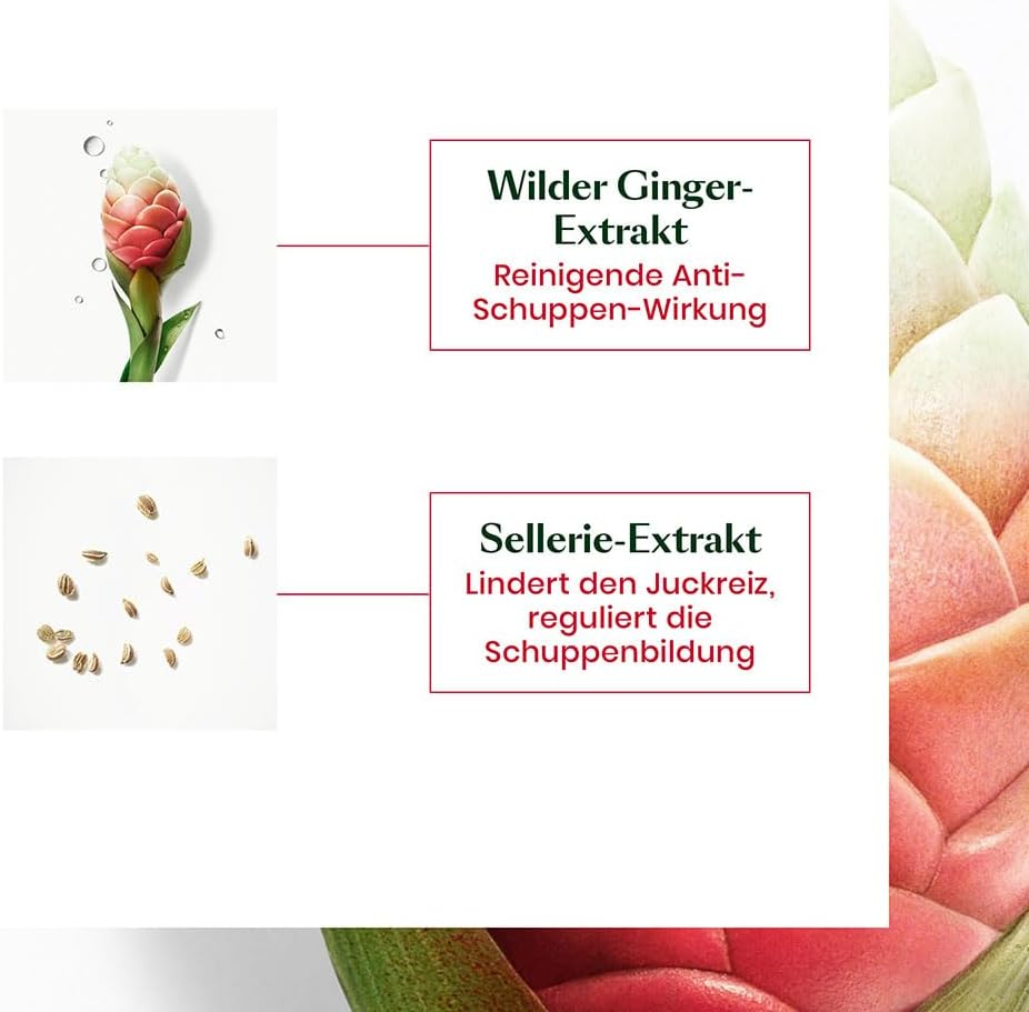 Rene Furterer Neopur Balancing Anti-Dandruff Shampoo for Oily Dandruff & Scalp - 150Ml