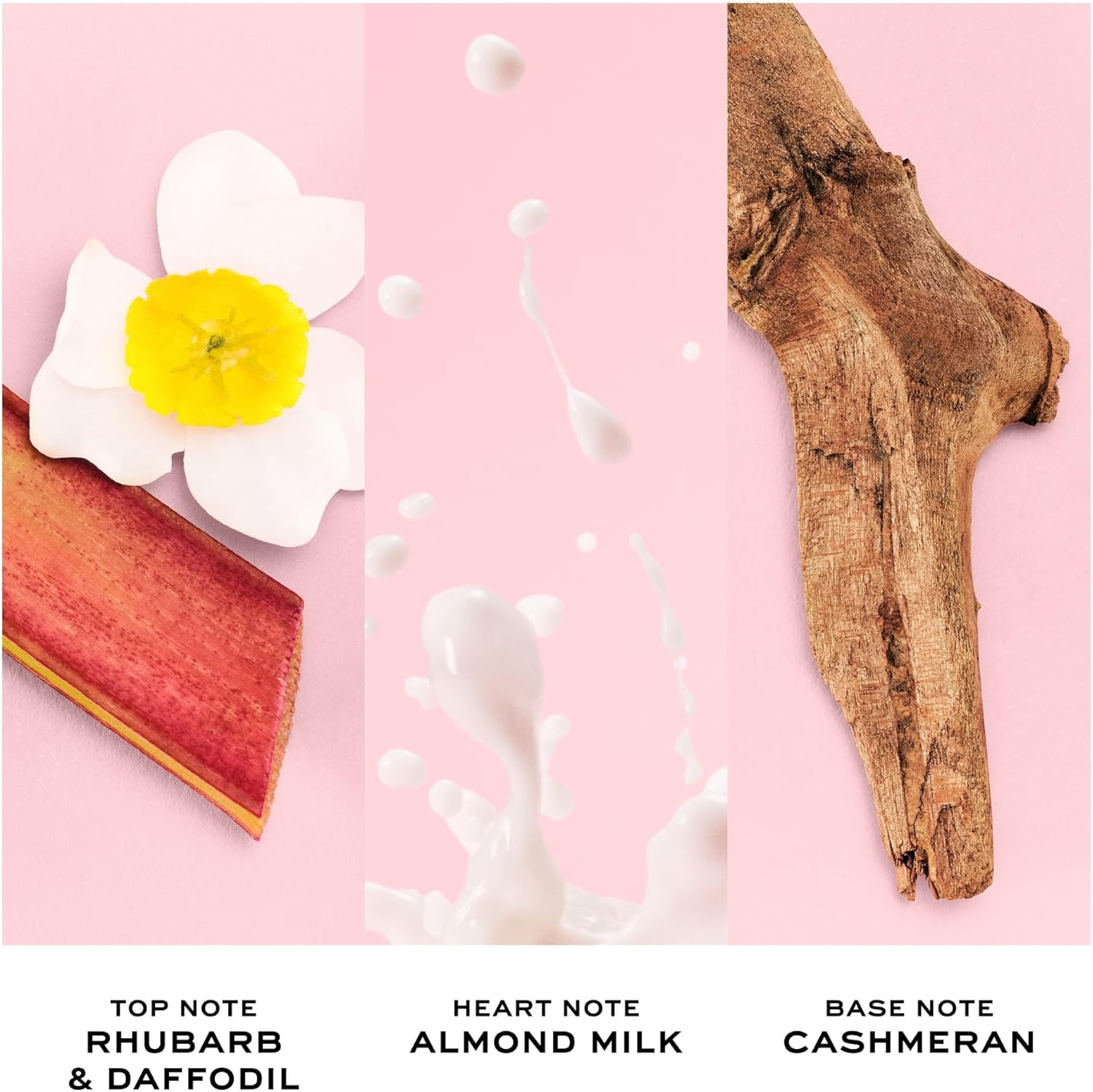 Marc Jacobs Perfect Eau De Parfum for Women 50 Ml image number 4