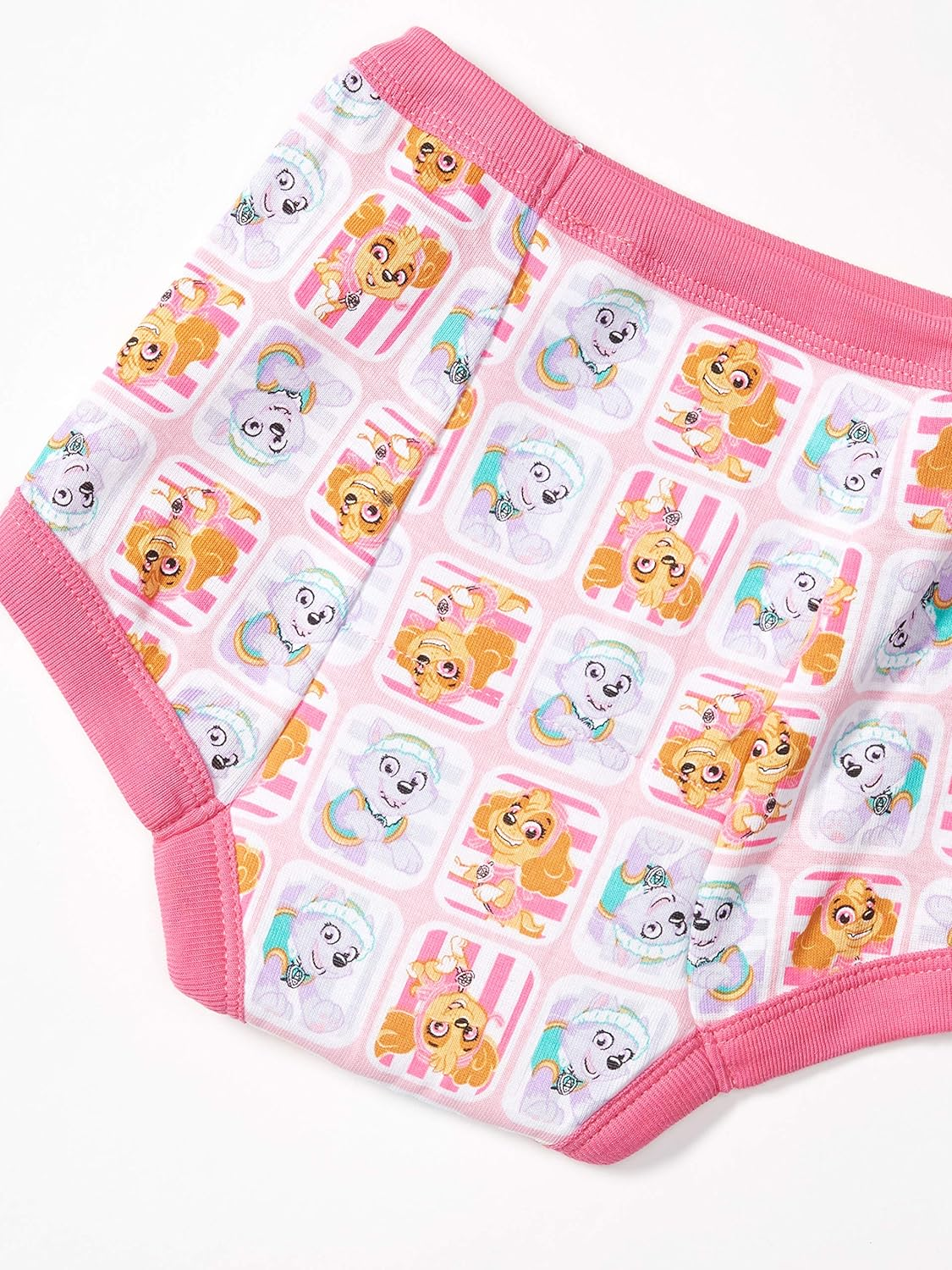 PAW PATROL Girls' Toddler Potty Training Pants with Chase, Skye & More with Success Chart & Stickers Size 18, 2T, 3T, 4T, 10-Pack, 3 Years