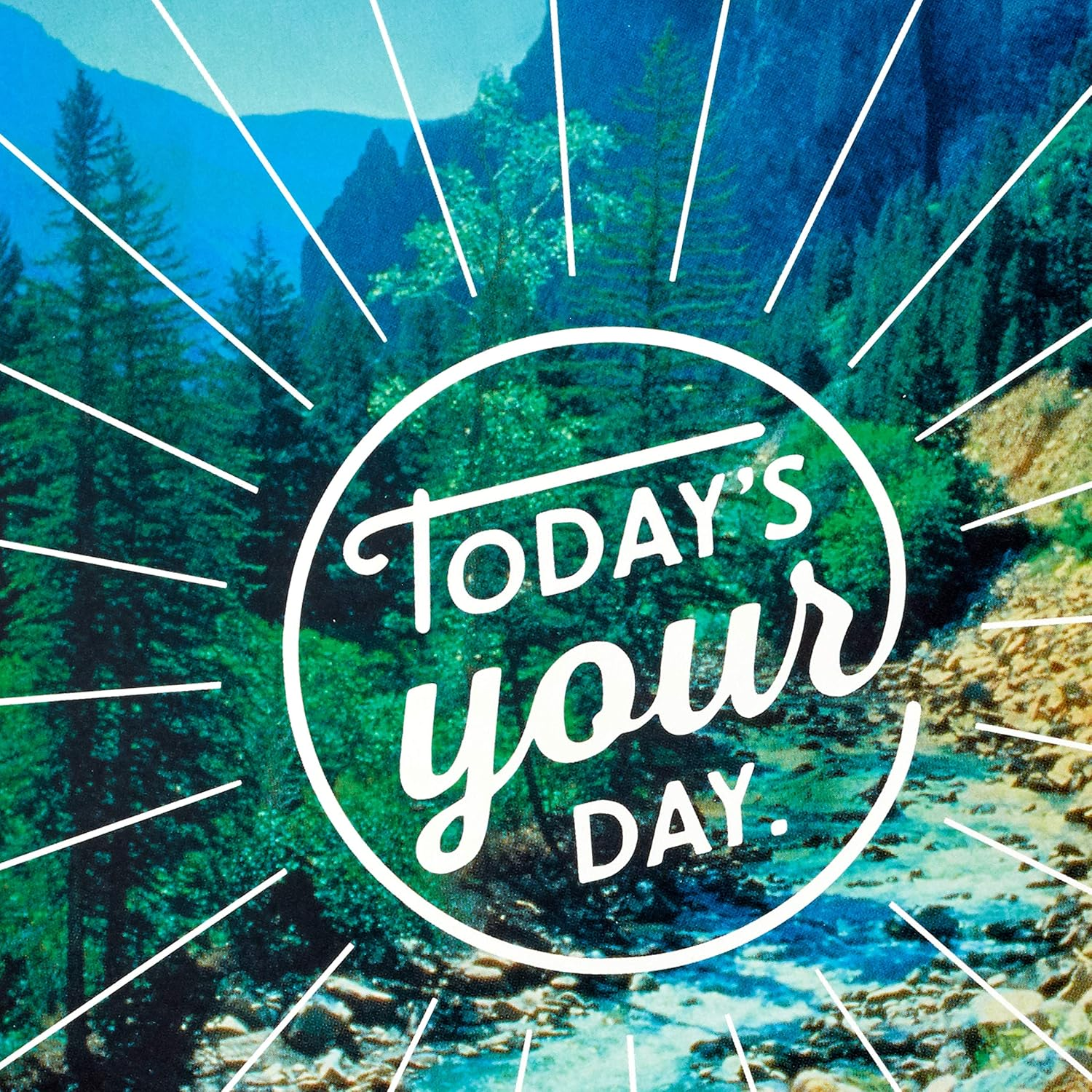 Hallmark Birthday Cards Assortment, Nature (12 Cards with Envelopes)