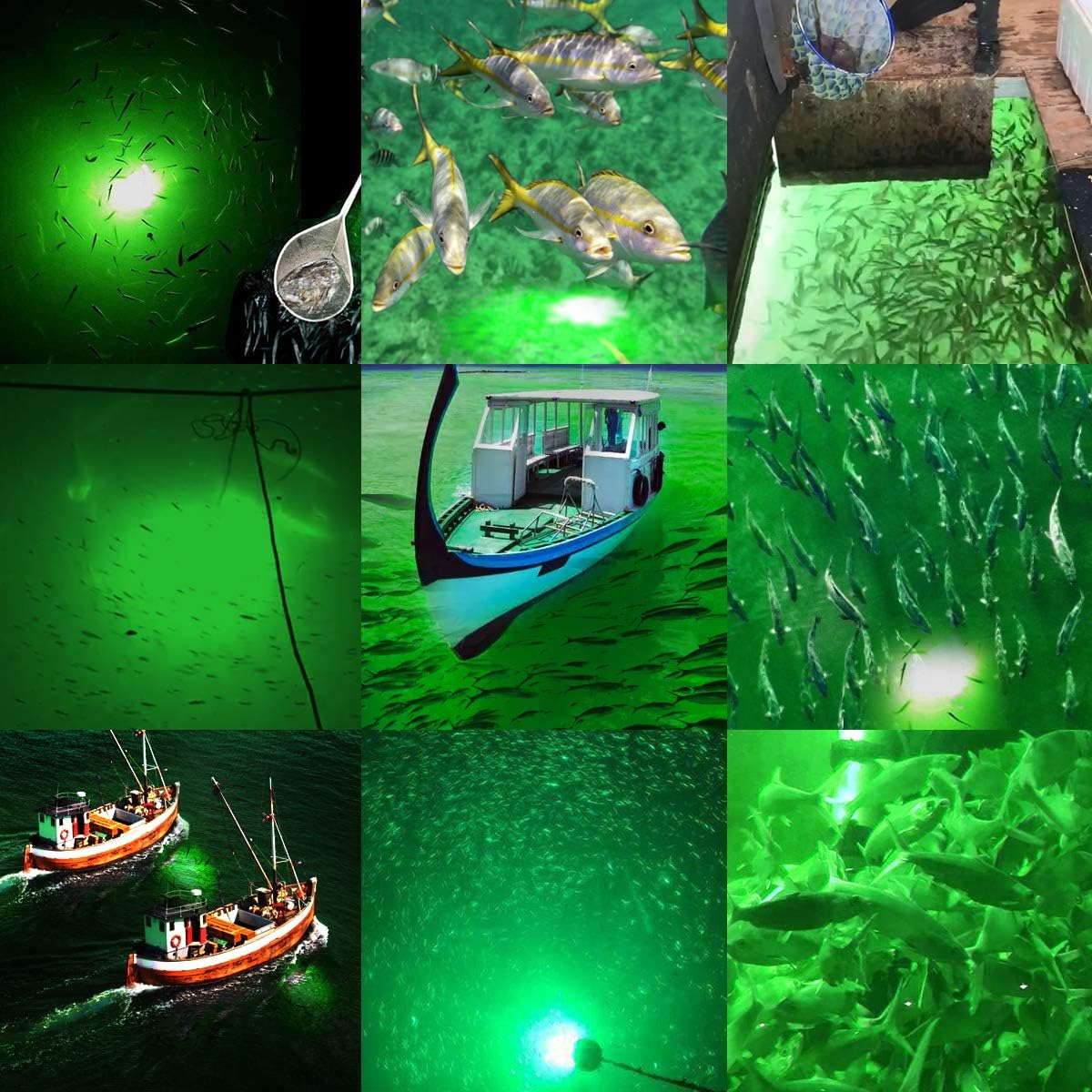 SAMDO IP68 12V LED Underwater Fishing Light 1080 Lumens Fish Attracting Light, Night Fishing Light 10.8W image number 4