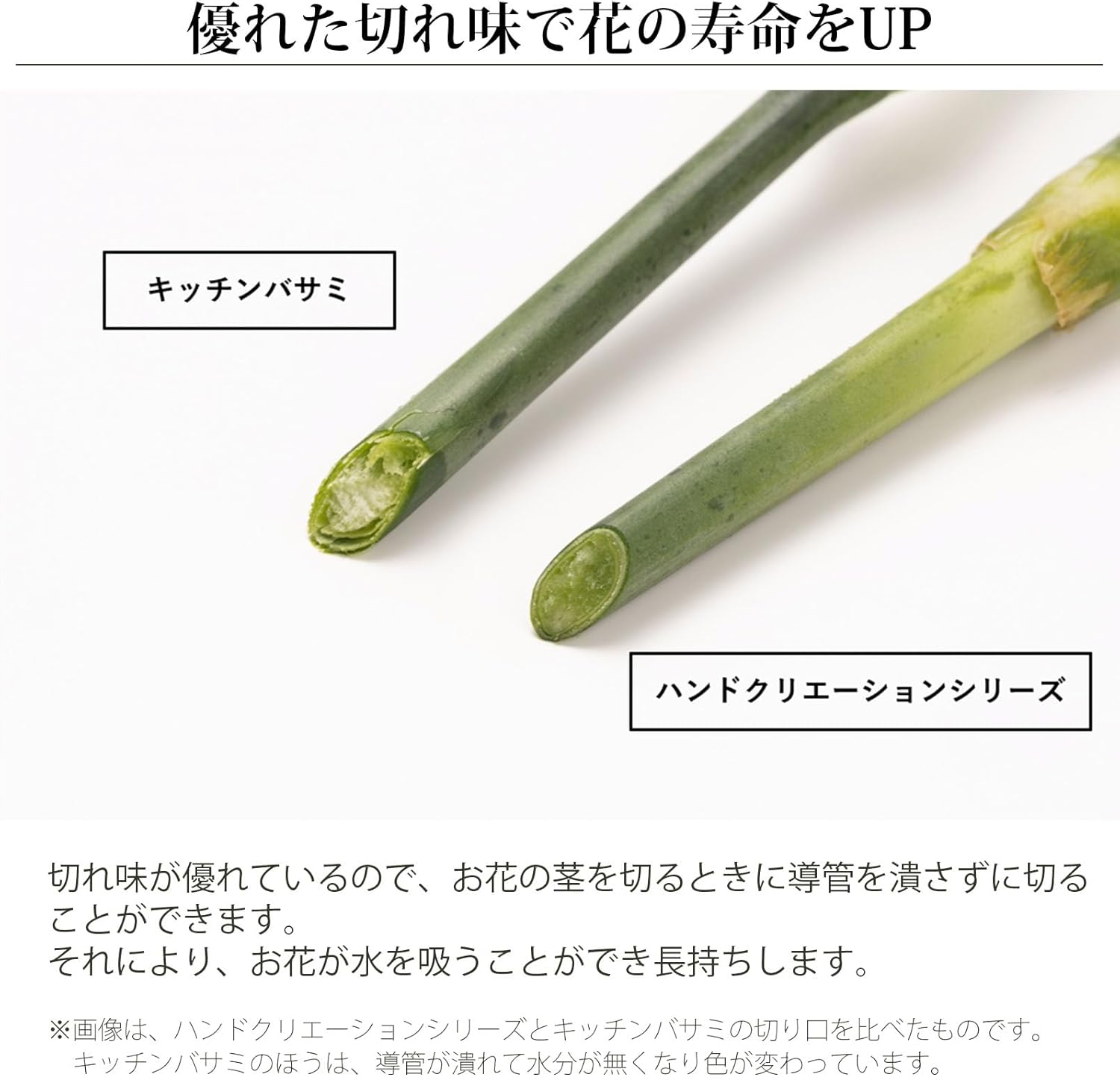 Sakagen Hand Creation Old Manners Type Tokyo Purple F-170 Limited Color