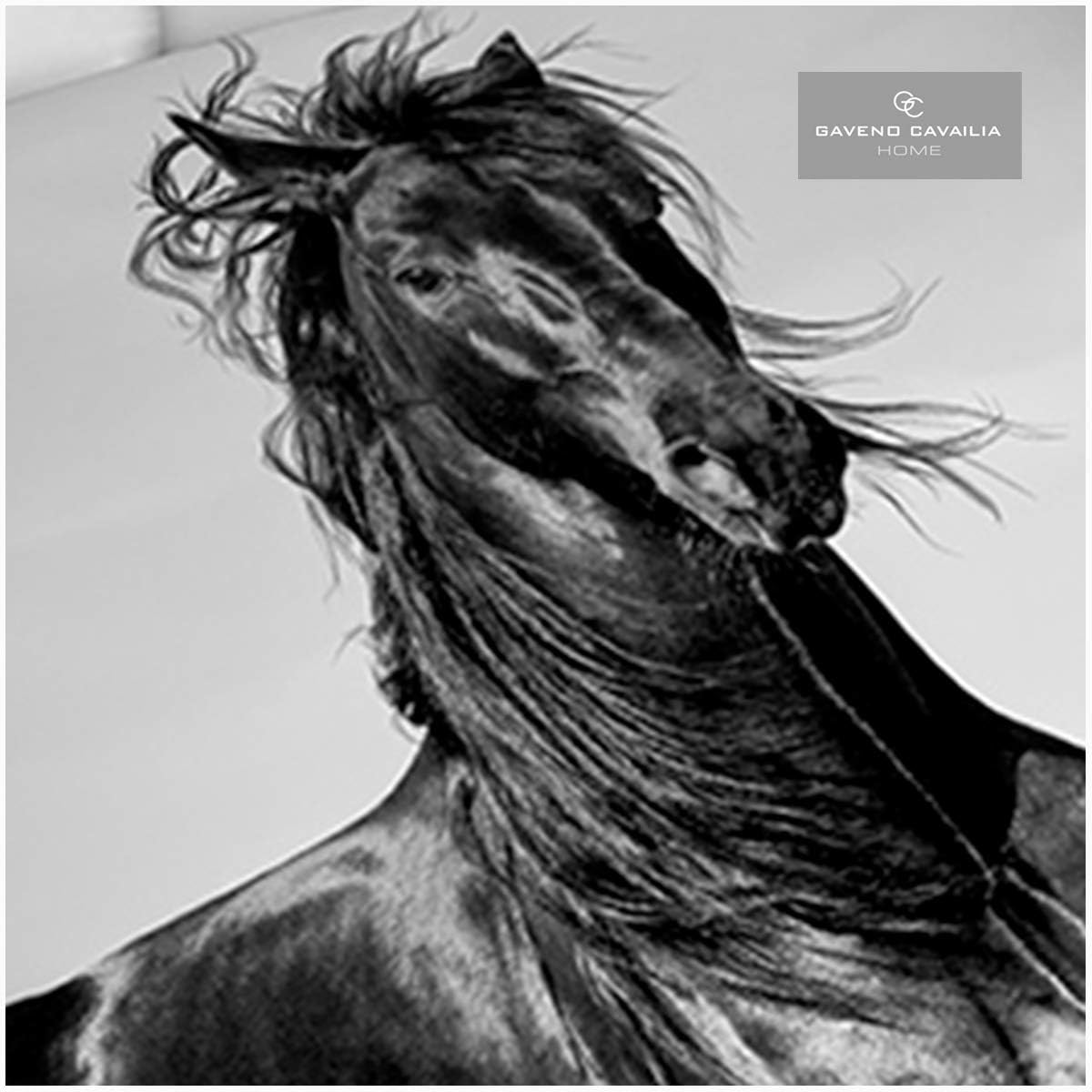 Gaveno Cavailia Animal Print 3D Black Horse Double Duvet Set, Premium Wildlife Bedding, 3 Piece Cotton Blend Reversible Bedlinen, Easy Care Duvetcover Bedset, 1 Quilt Cover + 2 Pillow Cases image number 3