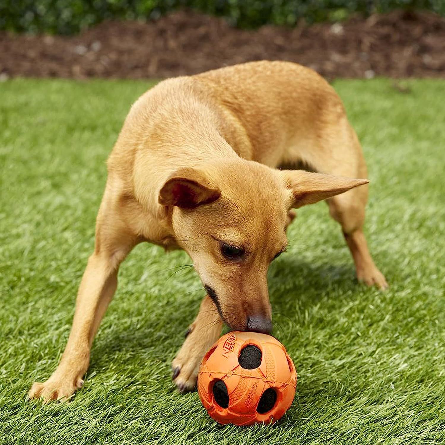 Nerf Products 3220 Bash Crunch Ball, Large, Orange, One-Size-For-Most