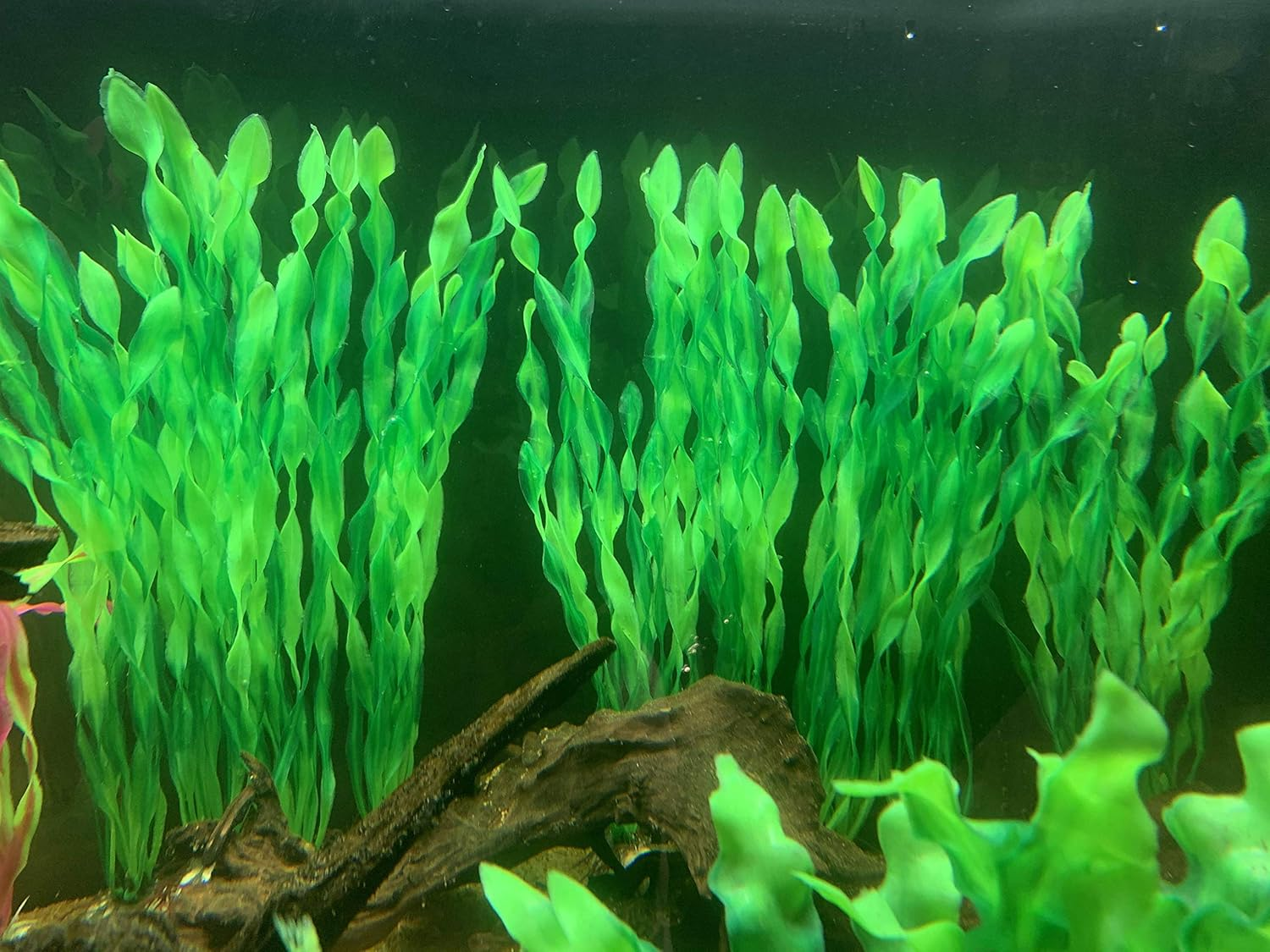 Aquarium Decoration, 14 Pieces Artificial Green Water Plants Seaweed Plastic Fish Tank Decoration for All Fish and Pets image number 1