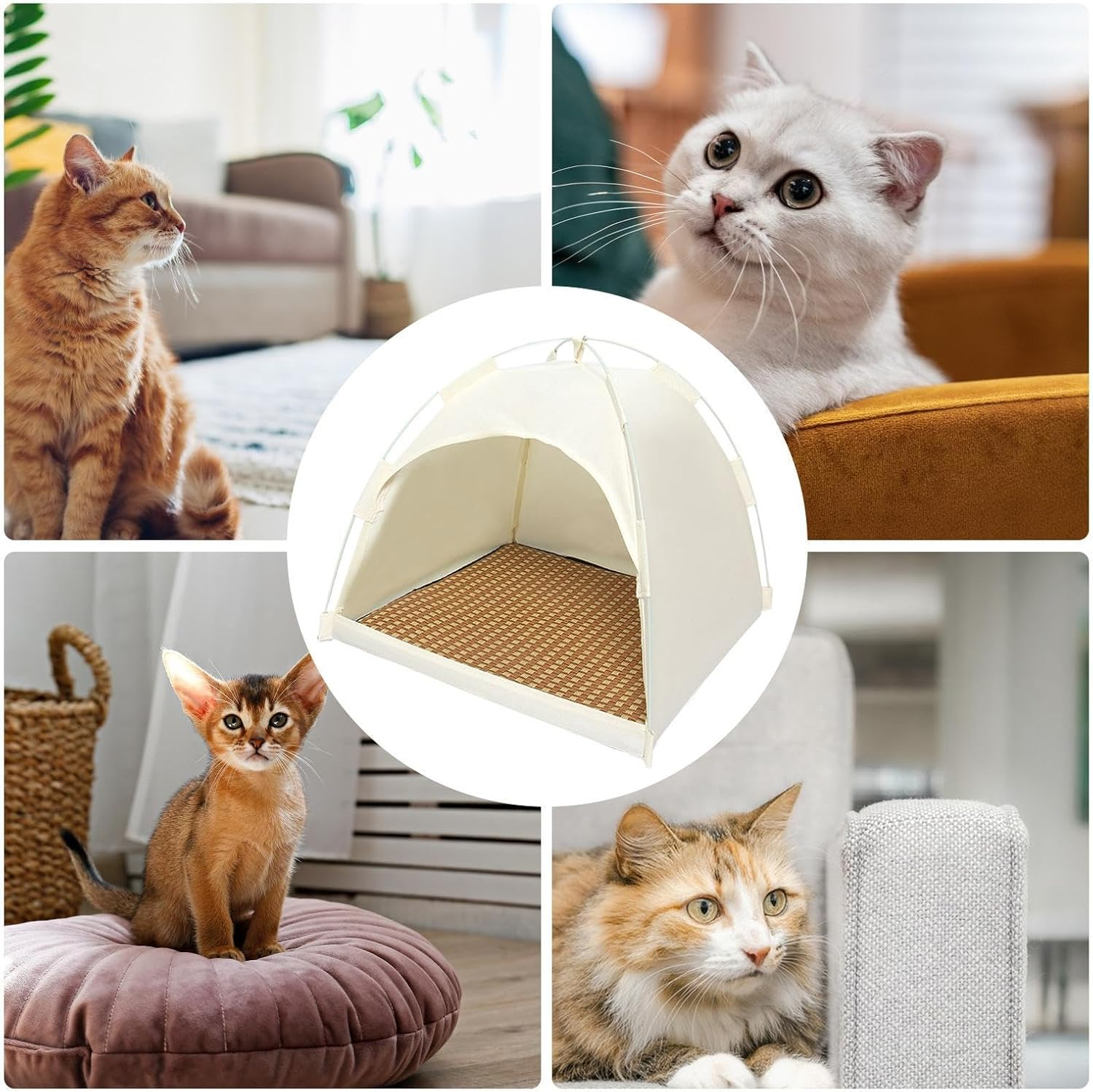 Outdoor Cat Tent | Cat House | Breathable Cat Shelter, Feline Outdoor Shelter, Versatile Expandable Cat Cottage, Pet Friendly Airy Canopy, Detachable Animal Dwelling for Young Cats, Dogs image number 3